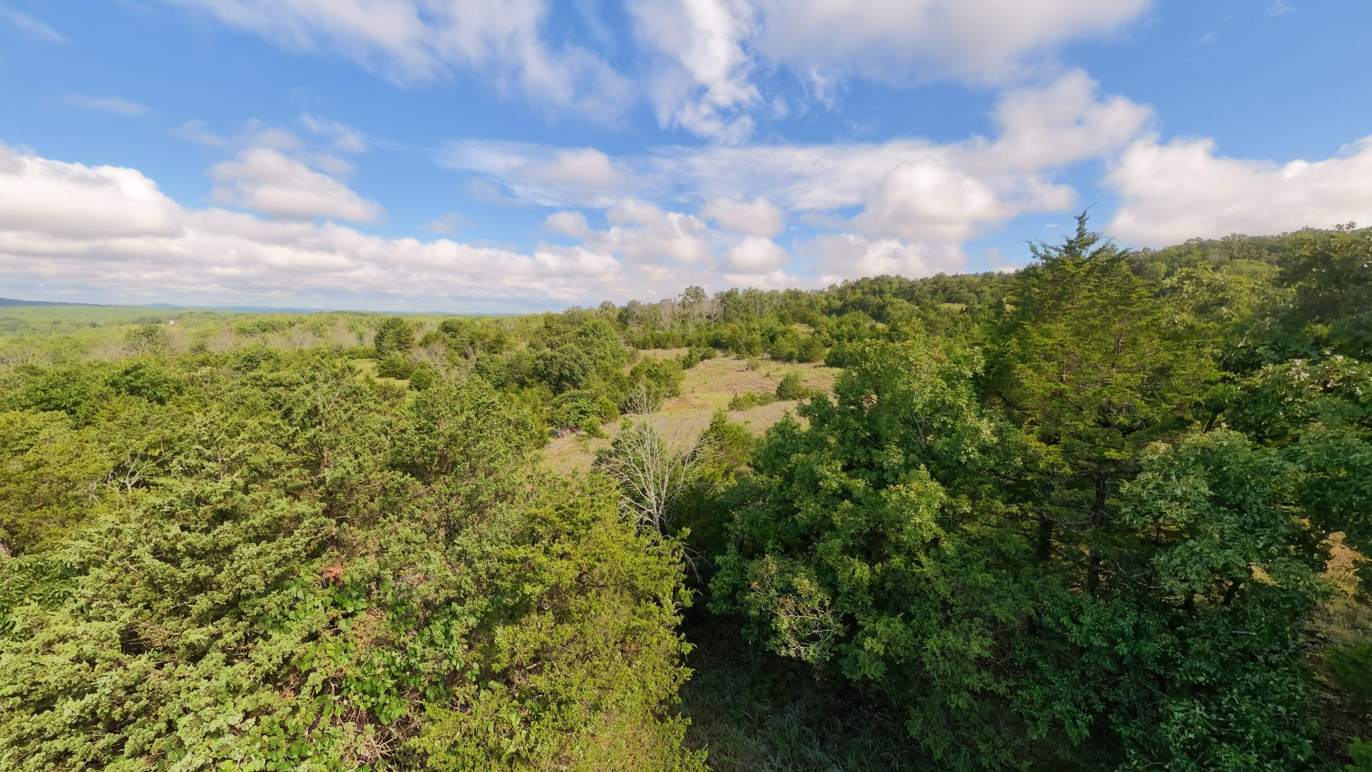 Photo 17 - Land for sale – 000  County Road 477   Clarkridge, AR