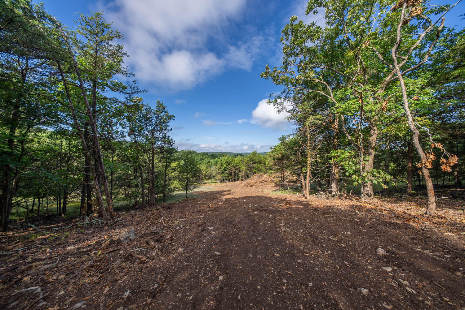 Photo 18 - Land for sale – 000  County Road 477   Clarkridge, AR