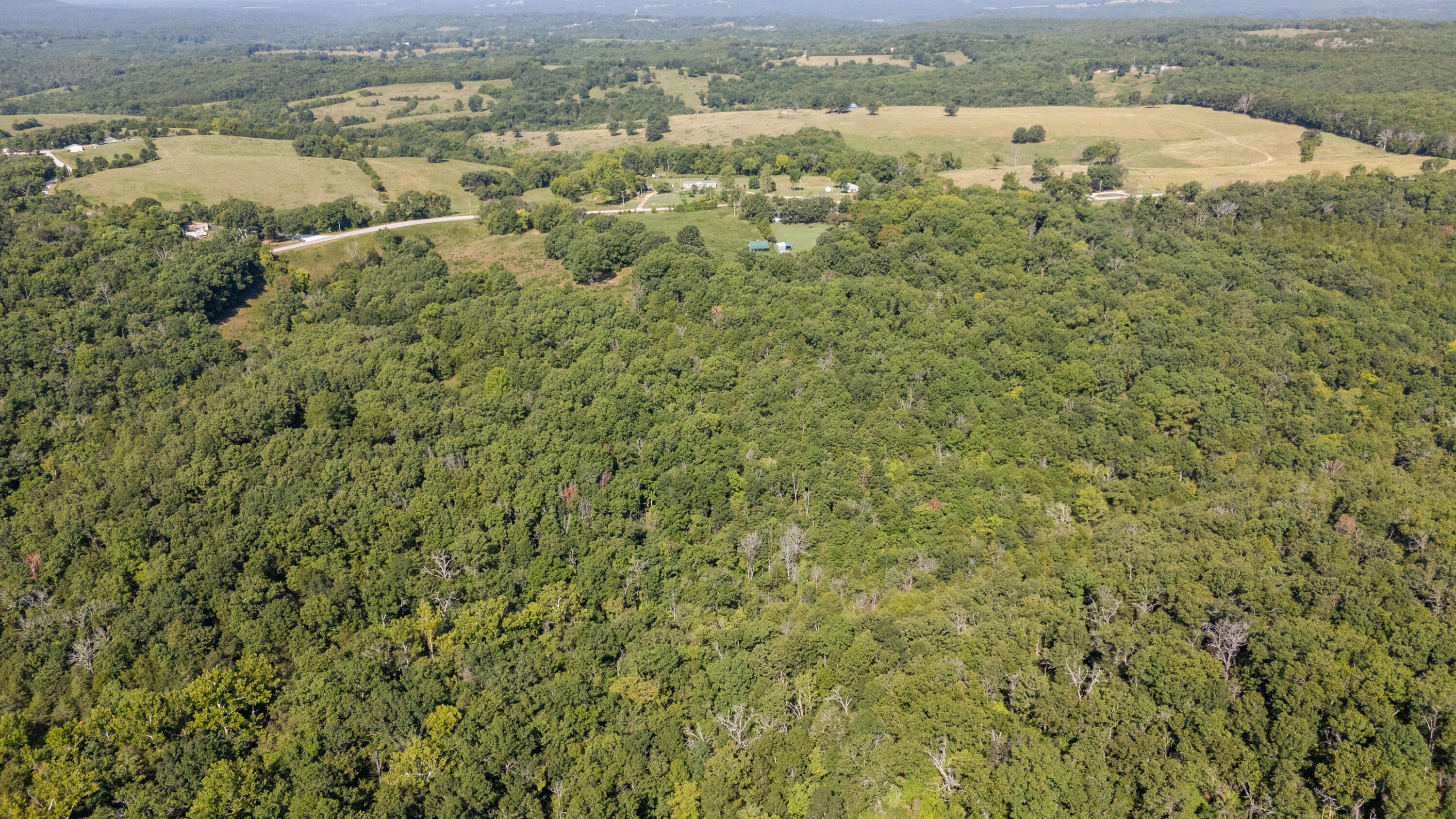 Photo 24 - Land for sale – 11600  Missouri 125   Bradleyville, MO