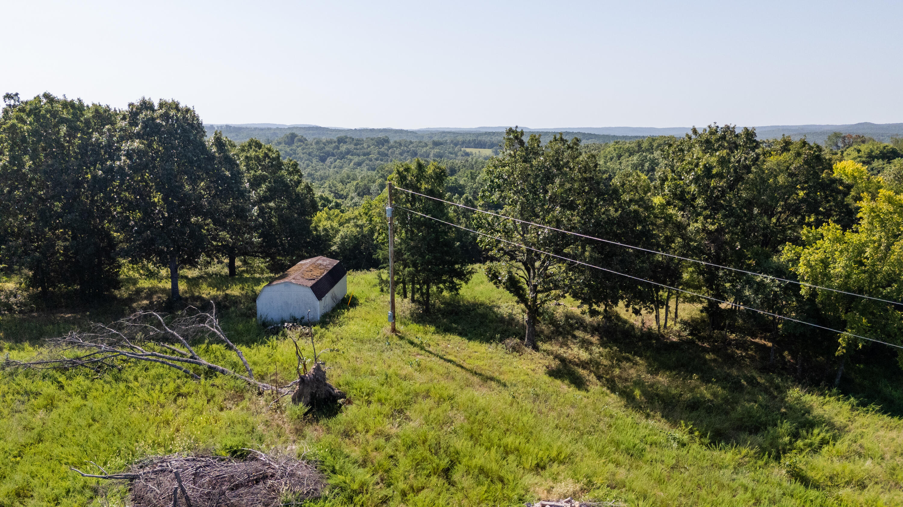 Photo 16 - Land for sale – 11600  Missouri 125   Bradleyville, MO