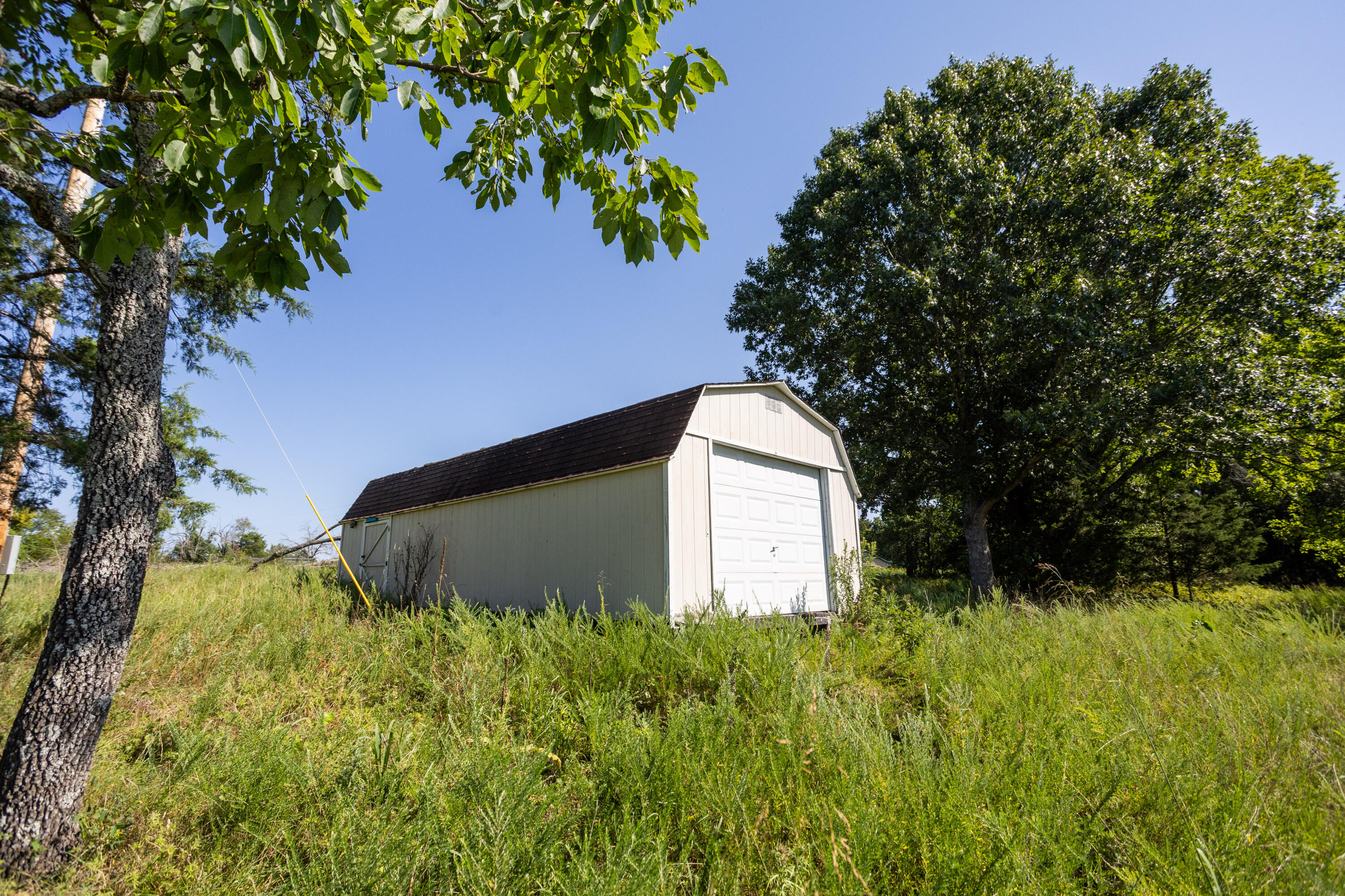 Photo 7 - Land for sale – 11600  Missouri 125   Bradleyville, MO