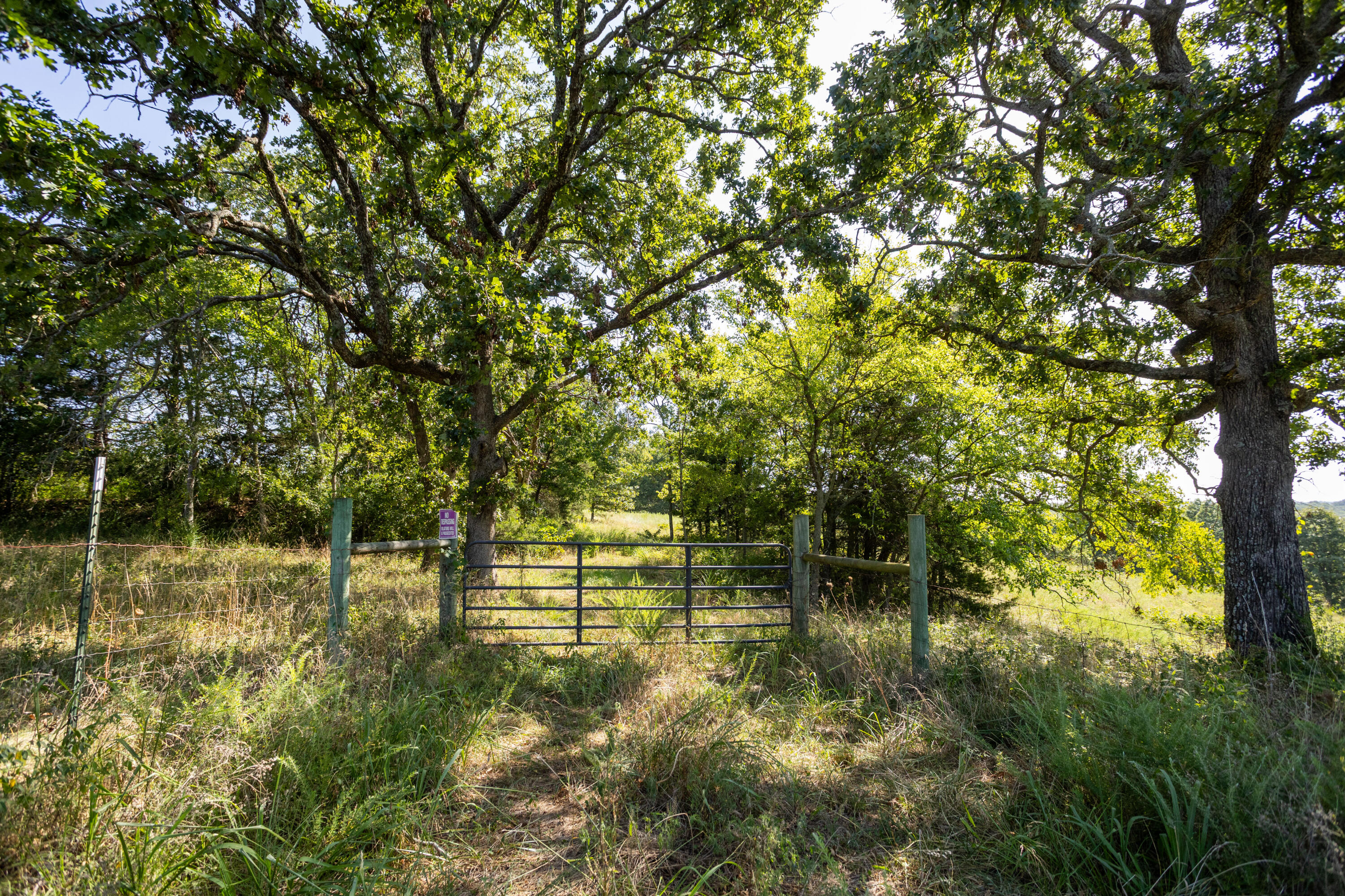Photo 6 - Land for sale – 11600  Missouri 125   Bradleyville, MO