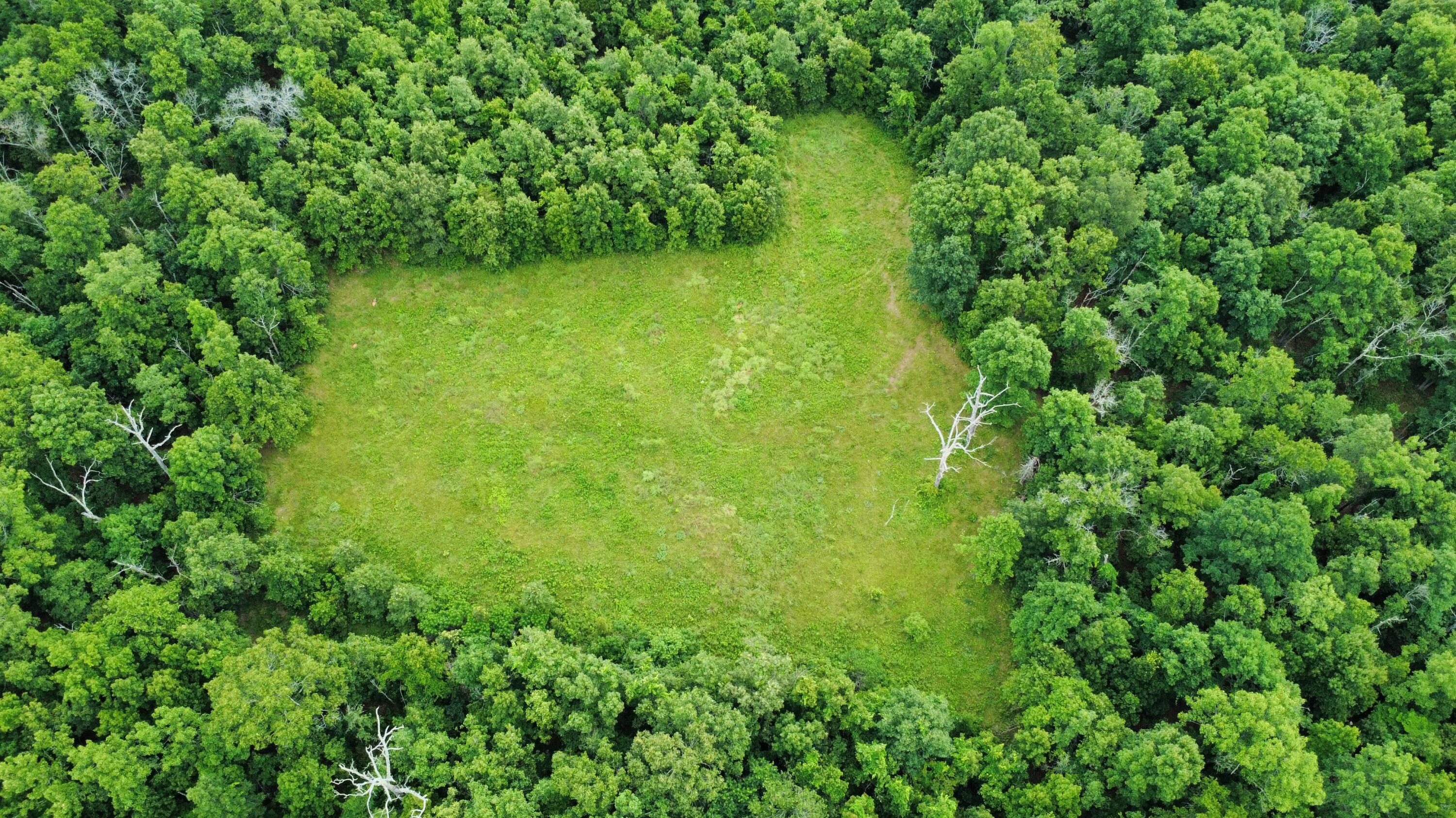 Photo 92 - Residential for sale – 8060  P Highway  Koshkonong, MO