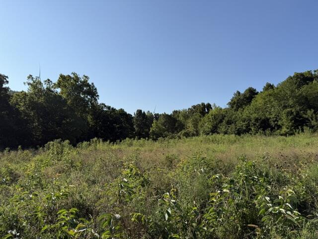 Photo 7 - Land for sale – Tbd  County Road 9068   Green Forest, AR