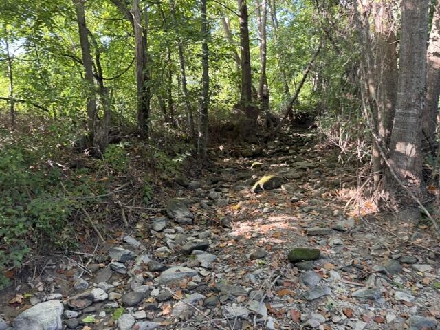 Photo 5 - Land for sale – Tbd  County Road 9068   Green Forest, AR