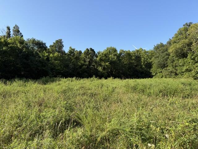 Photo 2 - Land for sale – Tbd  County Road 9068   Green Forest, AR