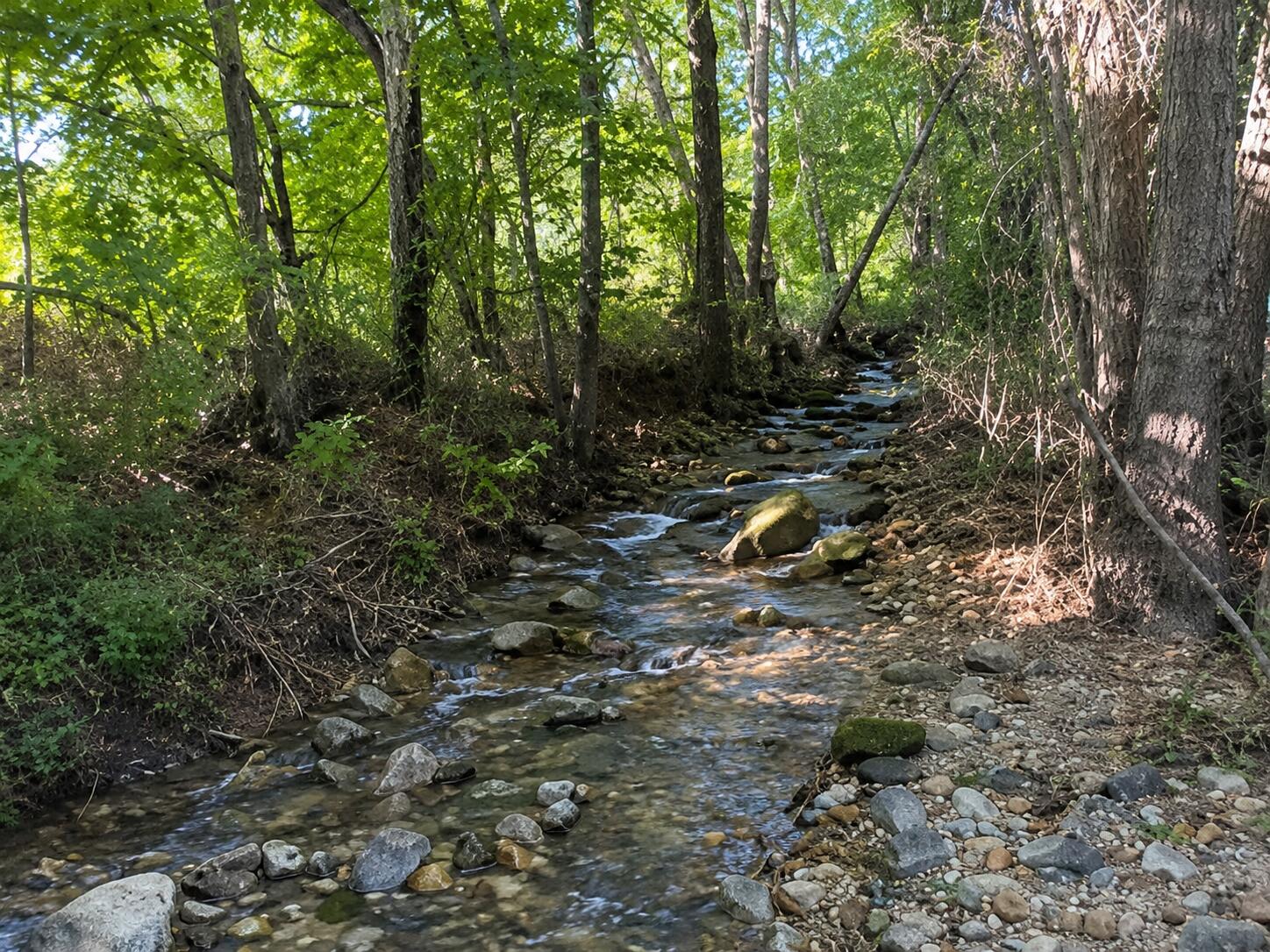 Photo 3 - Land for sale – Tbd  County Road 9068   Green Forest, AR