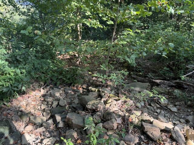 Photo 4 - Land for sale – Tbd  County Road 9068   Green Forest, AR