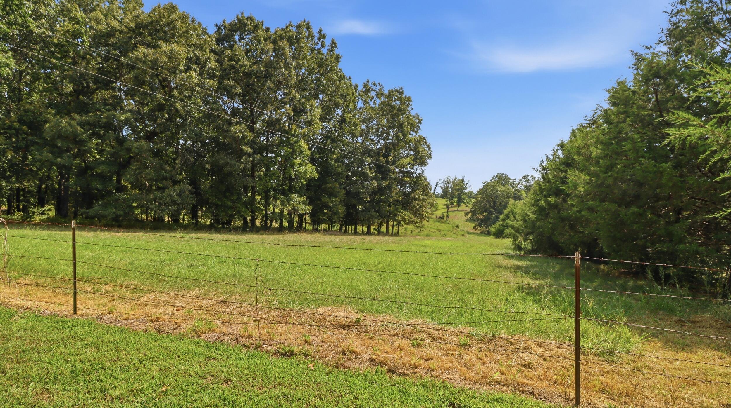 Photo 9 - Farm for sale – 134  Mcintire Road  Caulfield, MO