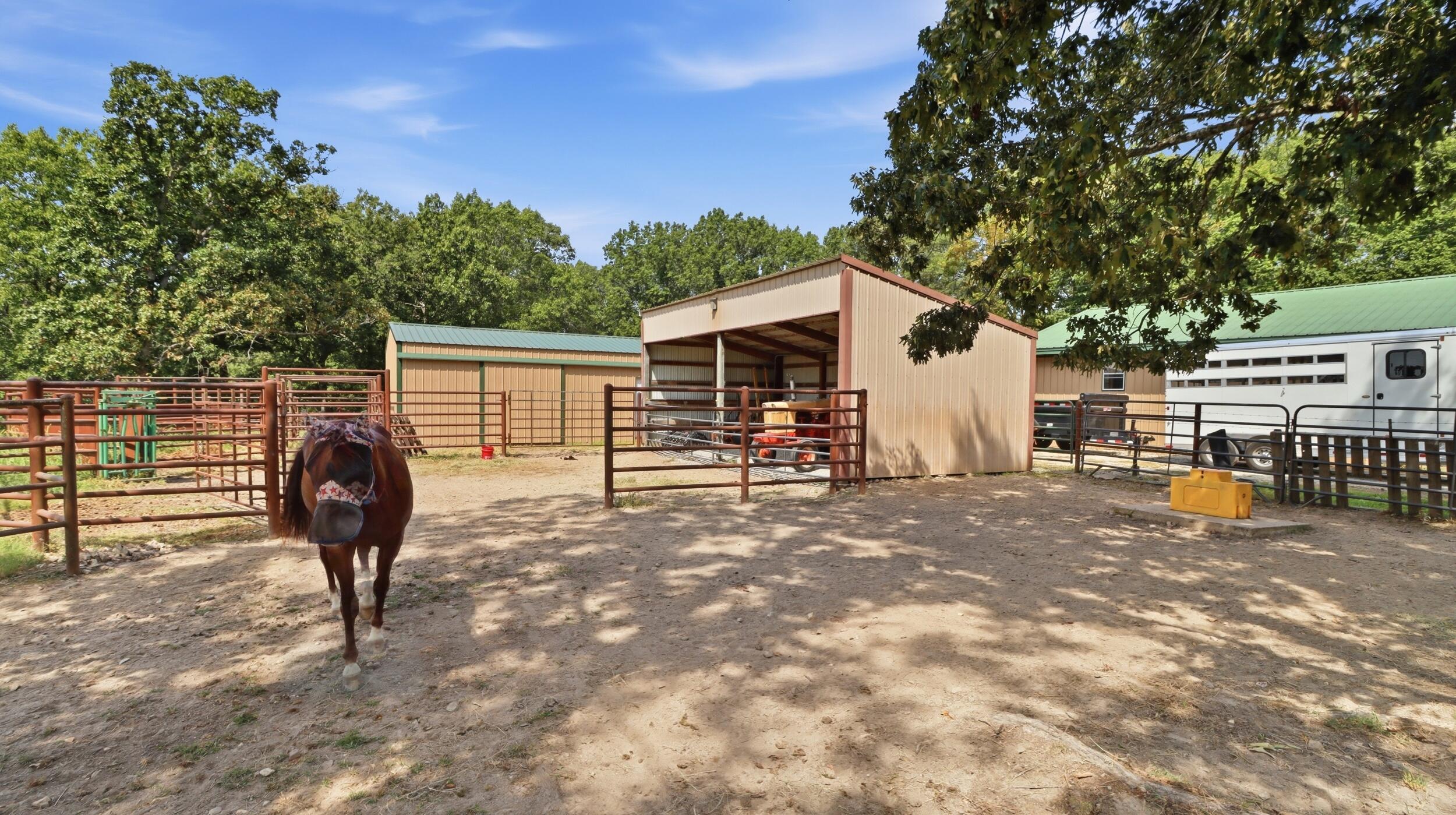 Photo 10 - Farm for sale – 134  Mcintire Road  Caulfield, MO