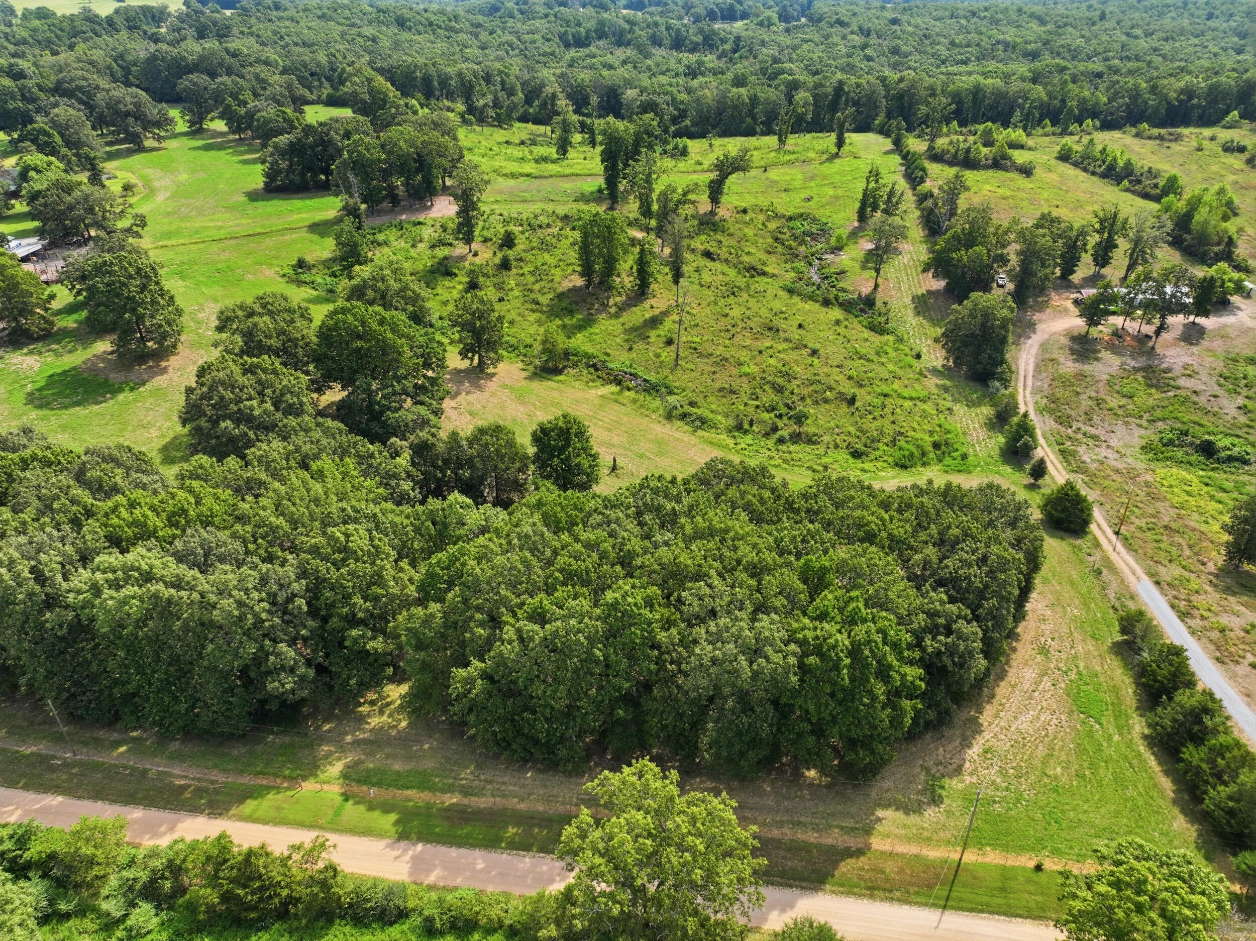 Photo 31 - Farm for sale – 134  Mcintire Road  Caulfield, MO