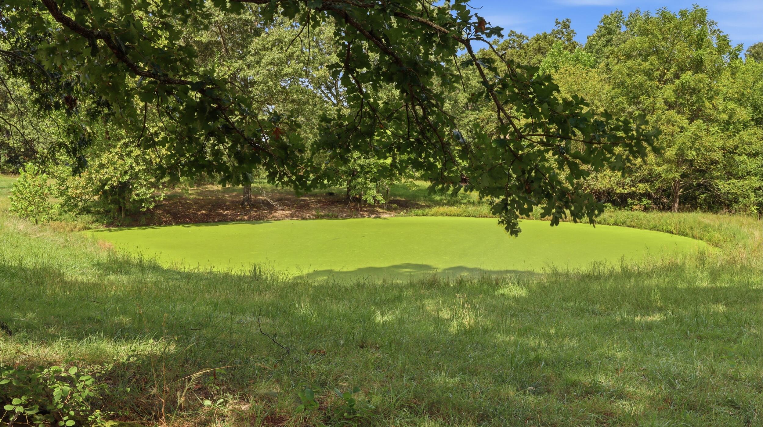 Photo 6 - Farm for sale – 134  Mcintire Road  Caulfield, MO