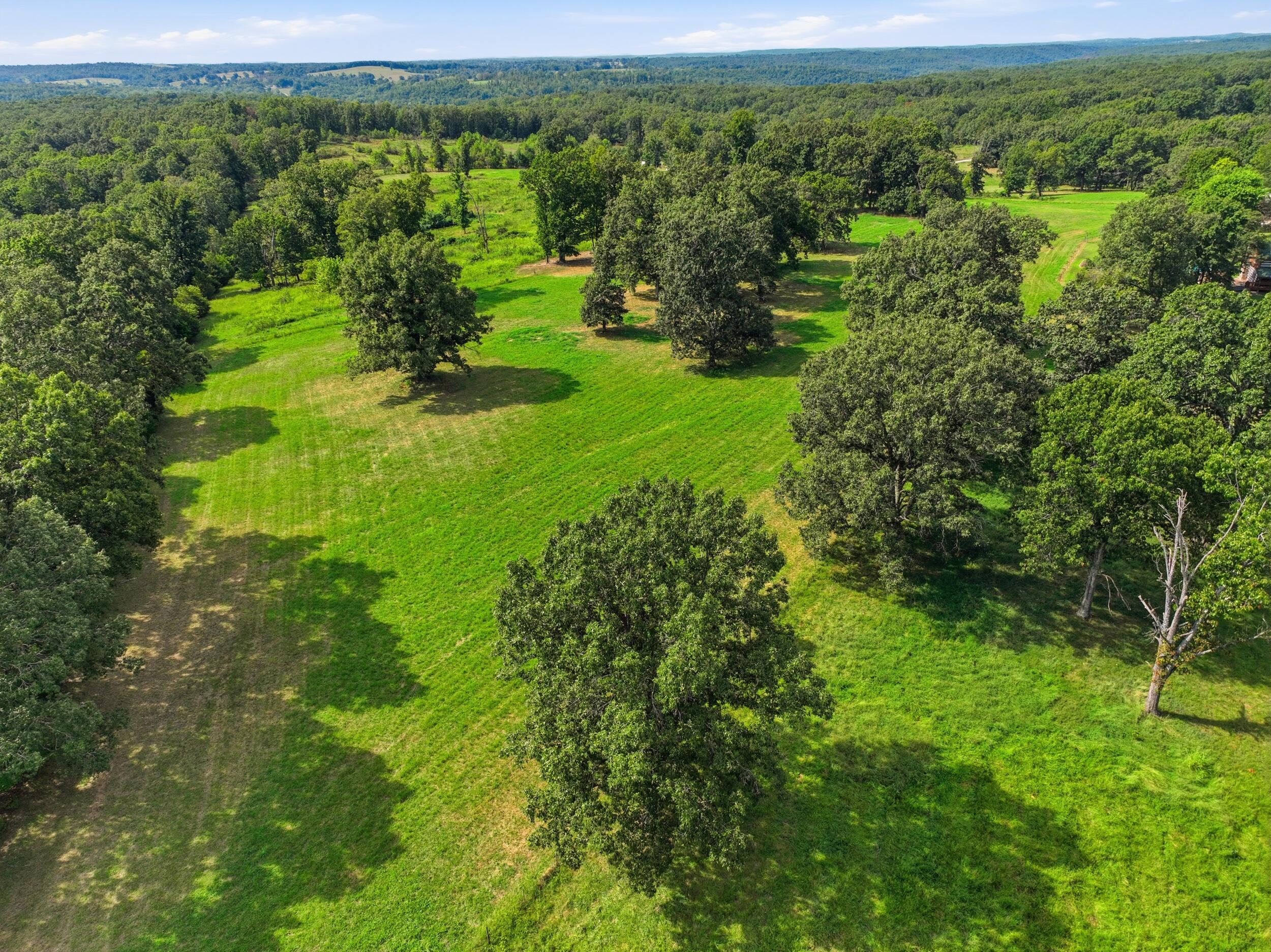 Photo 38 - Farm for sale – 134  Mcintire Road  Caulfield, MO