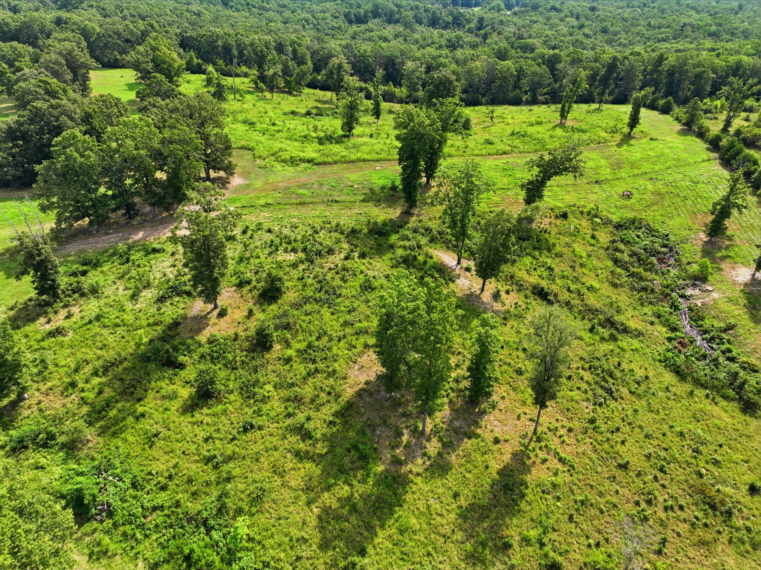 Photo 30 - Farm for sale – 134  Mcintire Road  Caulfield, MO