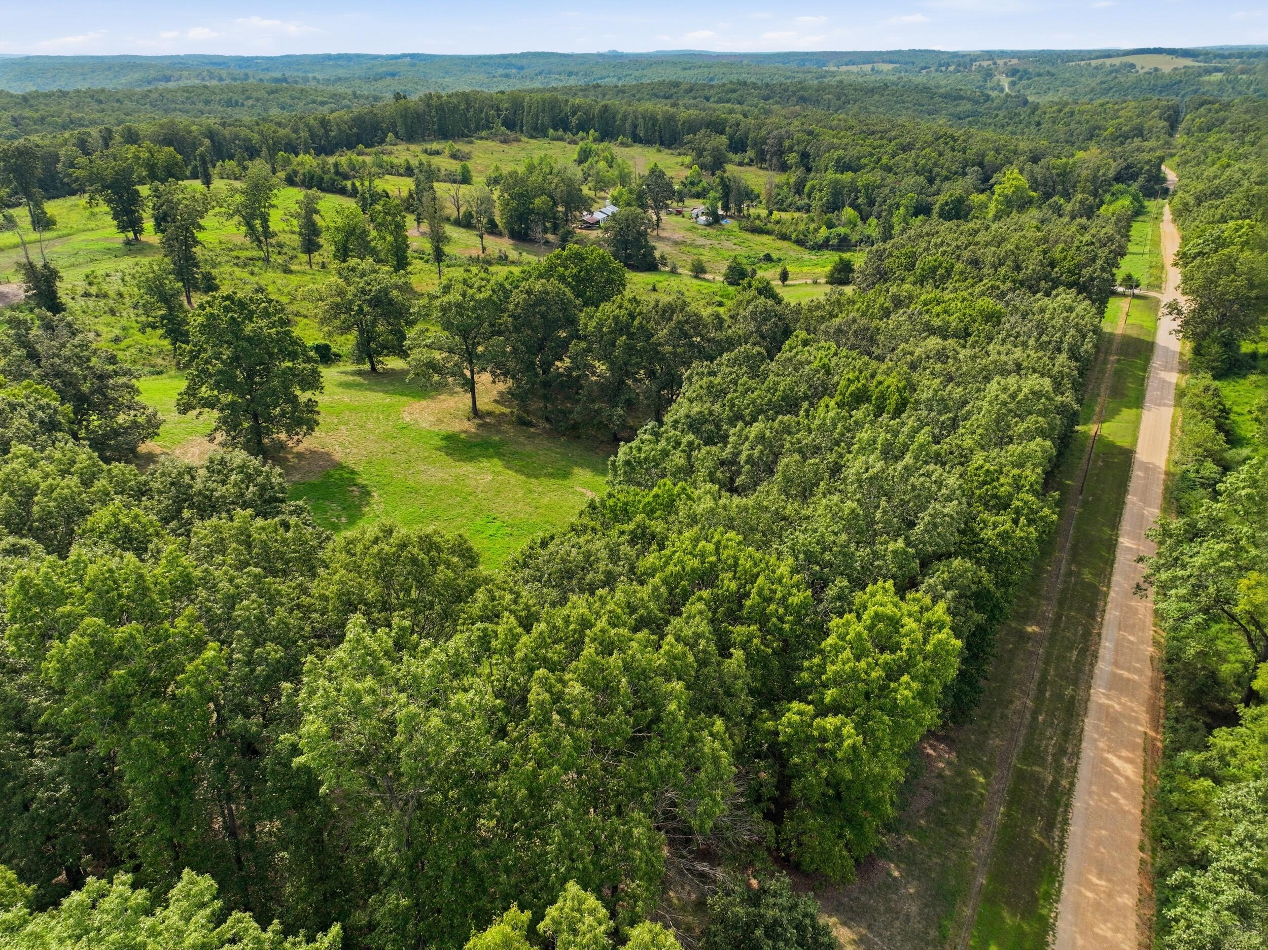 Photo 33 - Farm for sale – 134  Mcintire Road  Caulfield, MO