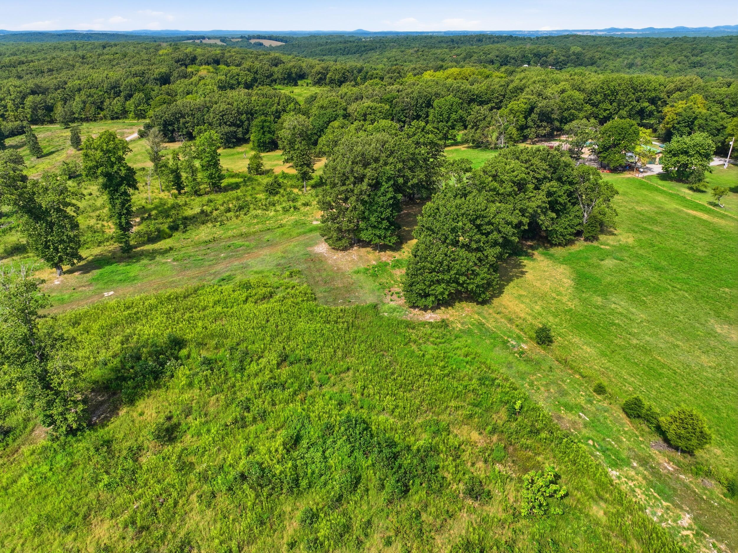 Photo 36 - Farm for sale – 134  Mcintire Road  Caulfield, MO