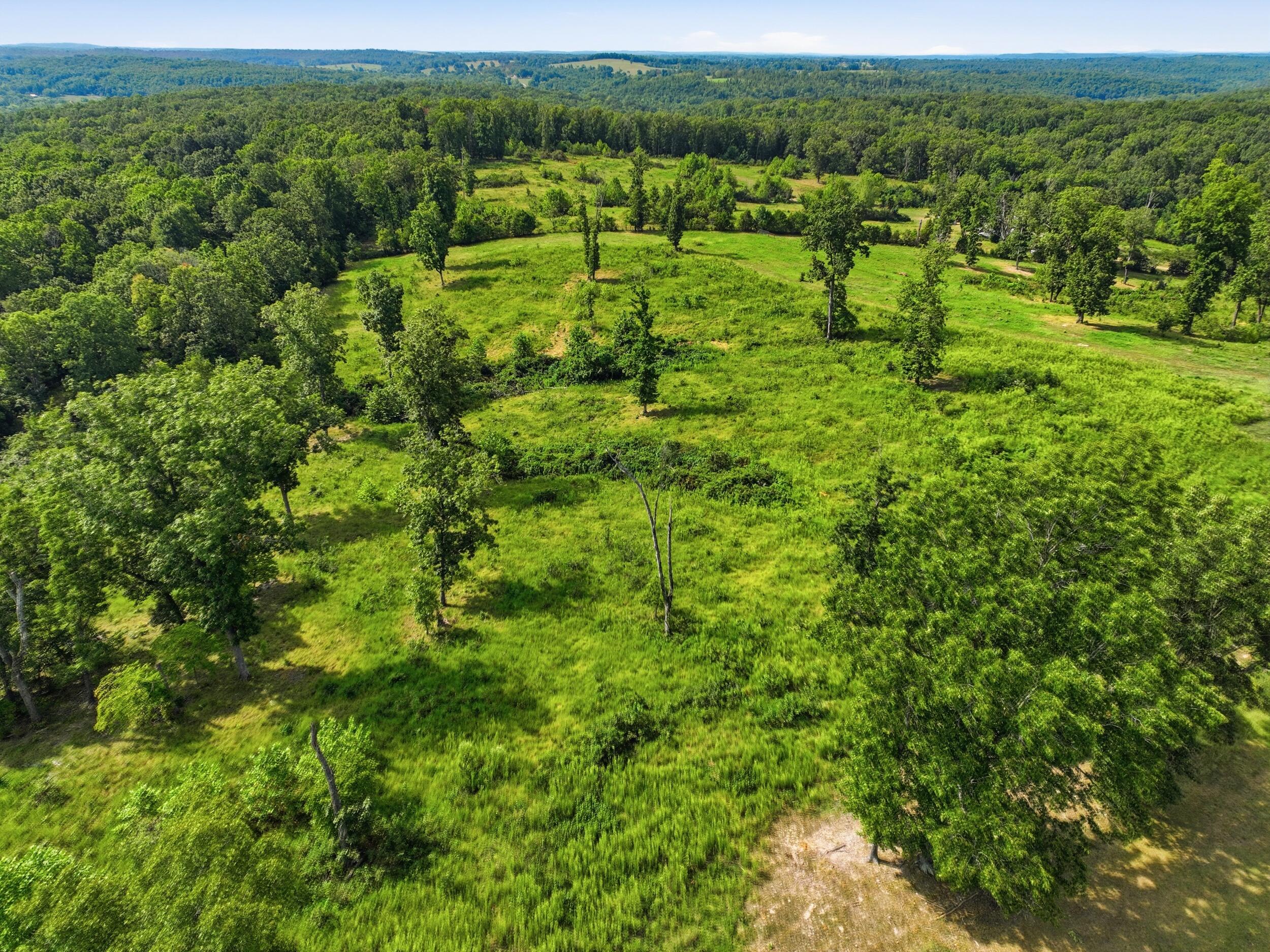 Photo 48 - Farm for sale – 134  Mcintire Road  Caulfield, MO