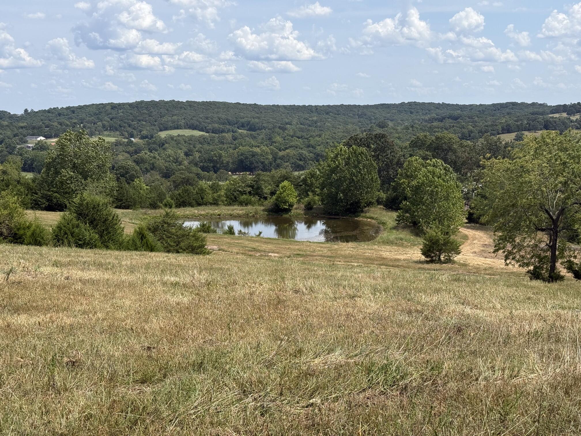 Photo 3 - Land for sale – 000  Hwy M Tract C-1   Cabool, MO