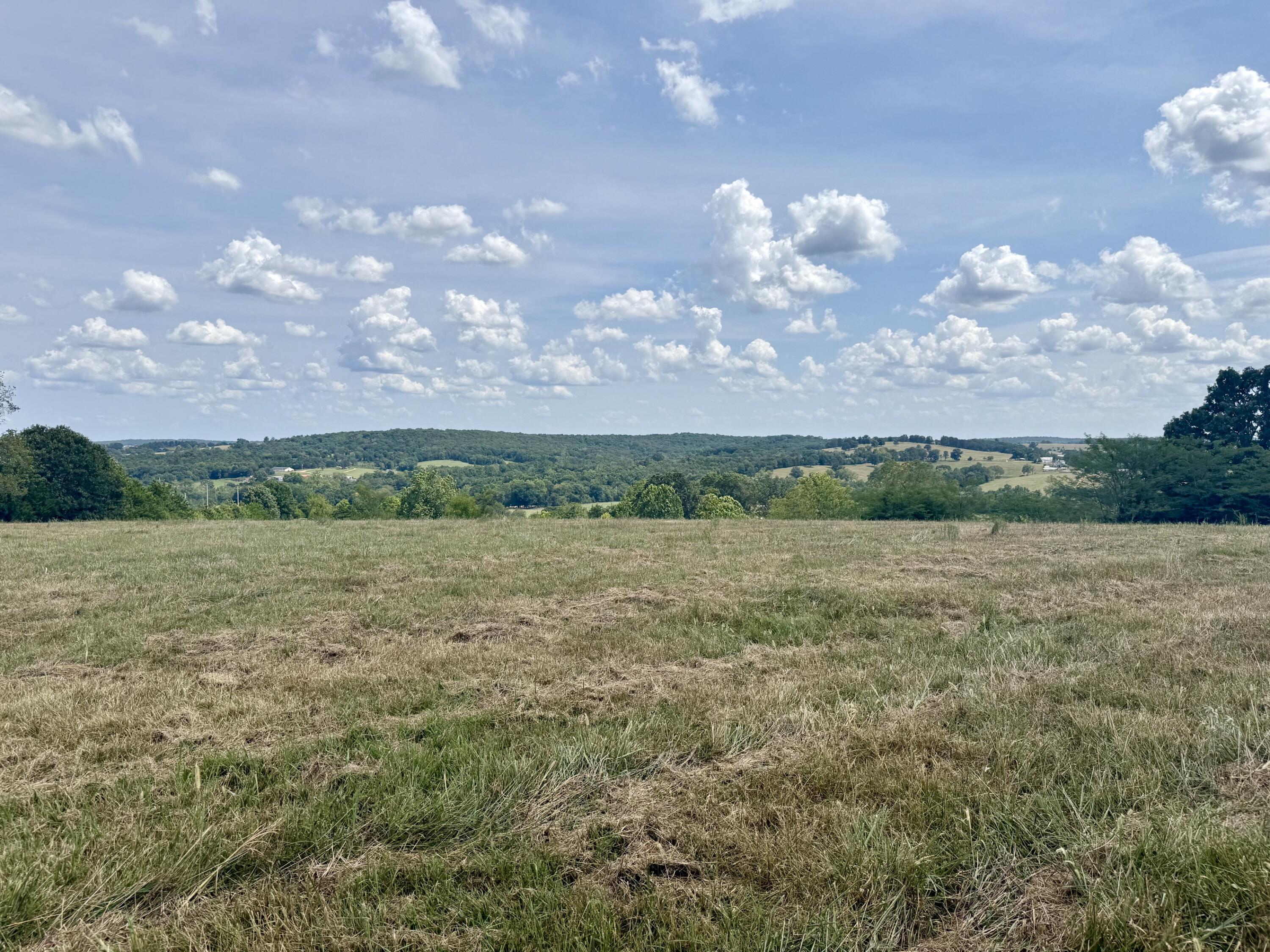 Photo 6 - Land for sale – 000  Hwy M Tract C-1   Cabool, MO
