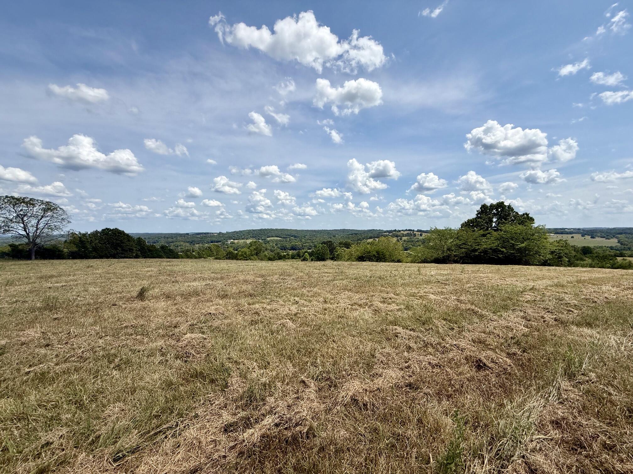 Photo 2 - Land for sale – 000  Hwy M Tract C-1   Cabool, MO