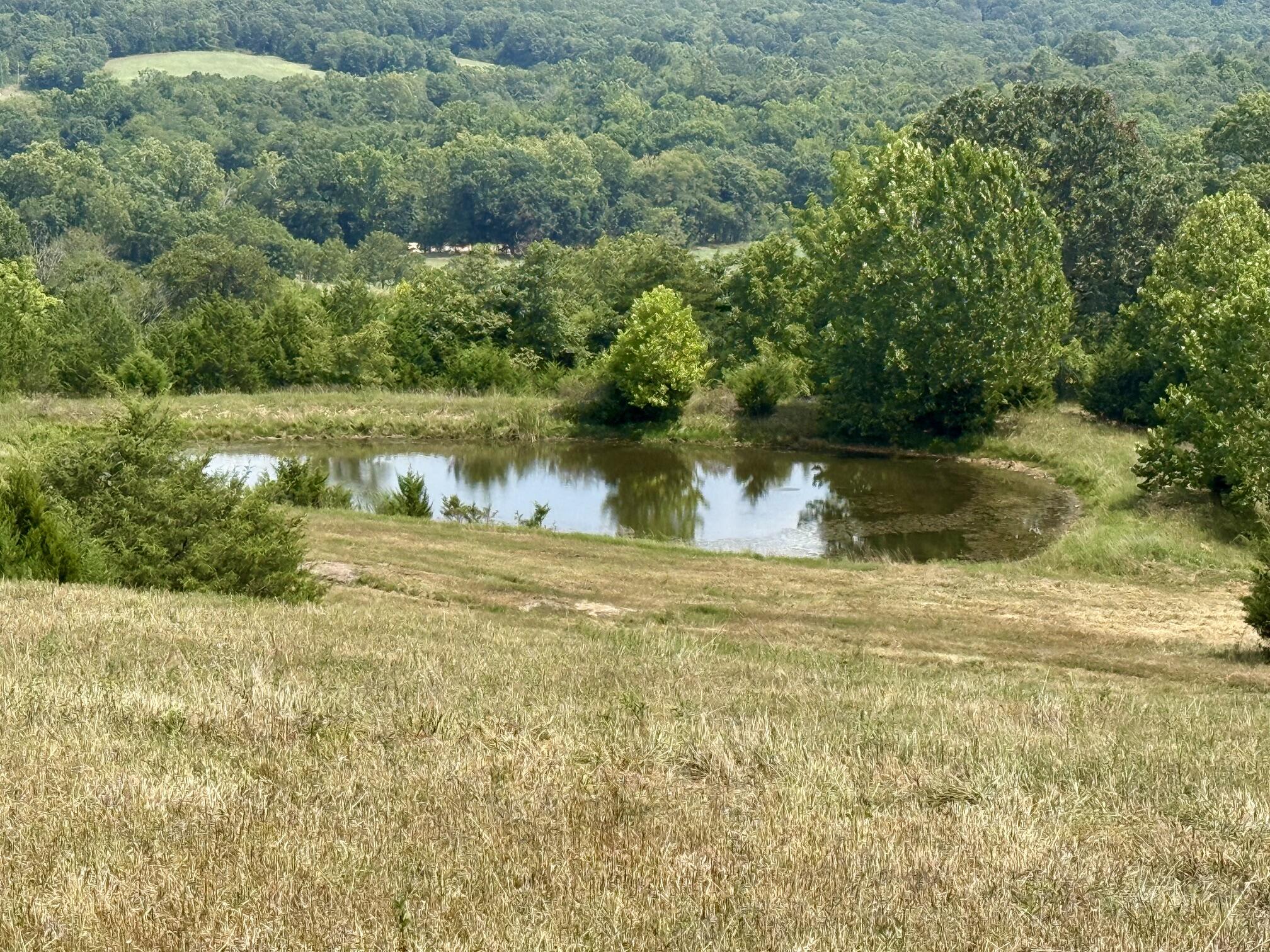 Photo 4 - Land for sale – 000  Hwy M Tract C-1   Cabool, MO