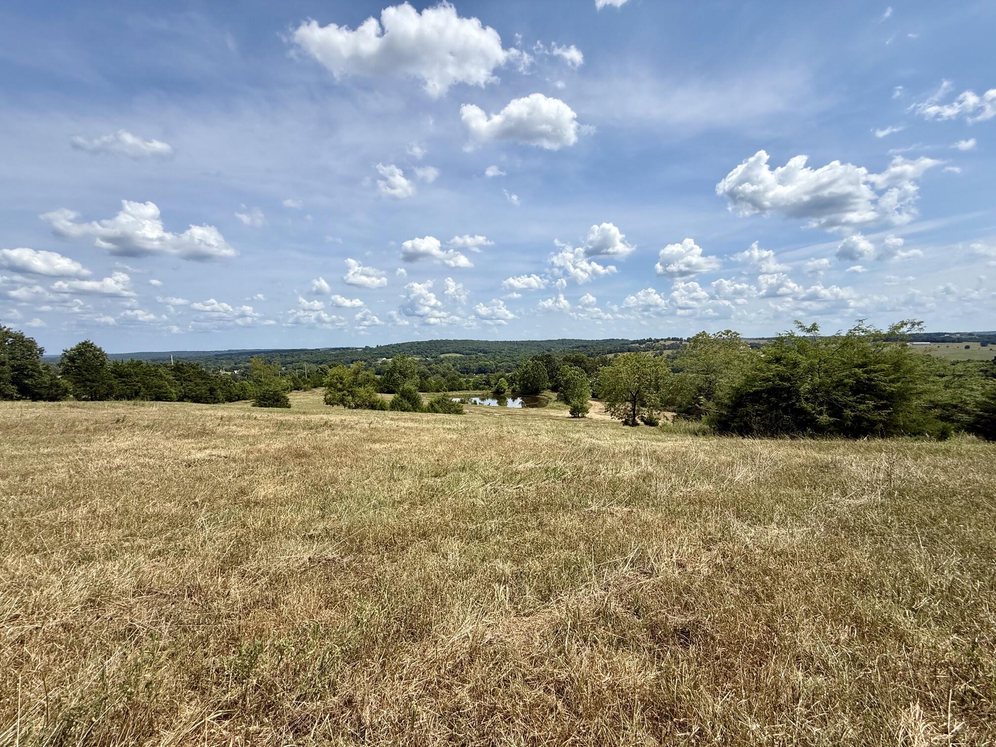 Photo 5 - Land for sale – 000  Hwy M Tract C-1   Cabool, MO