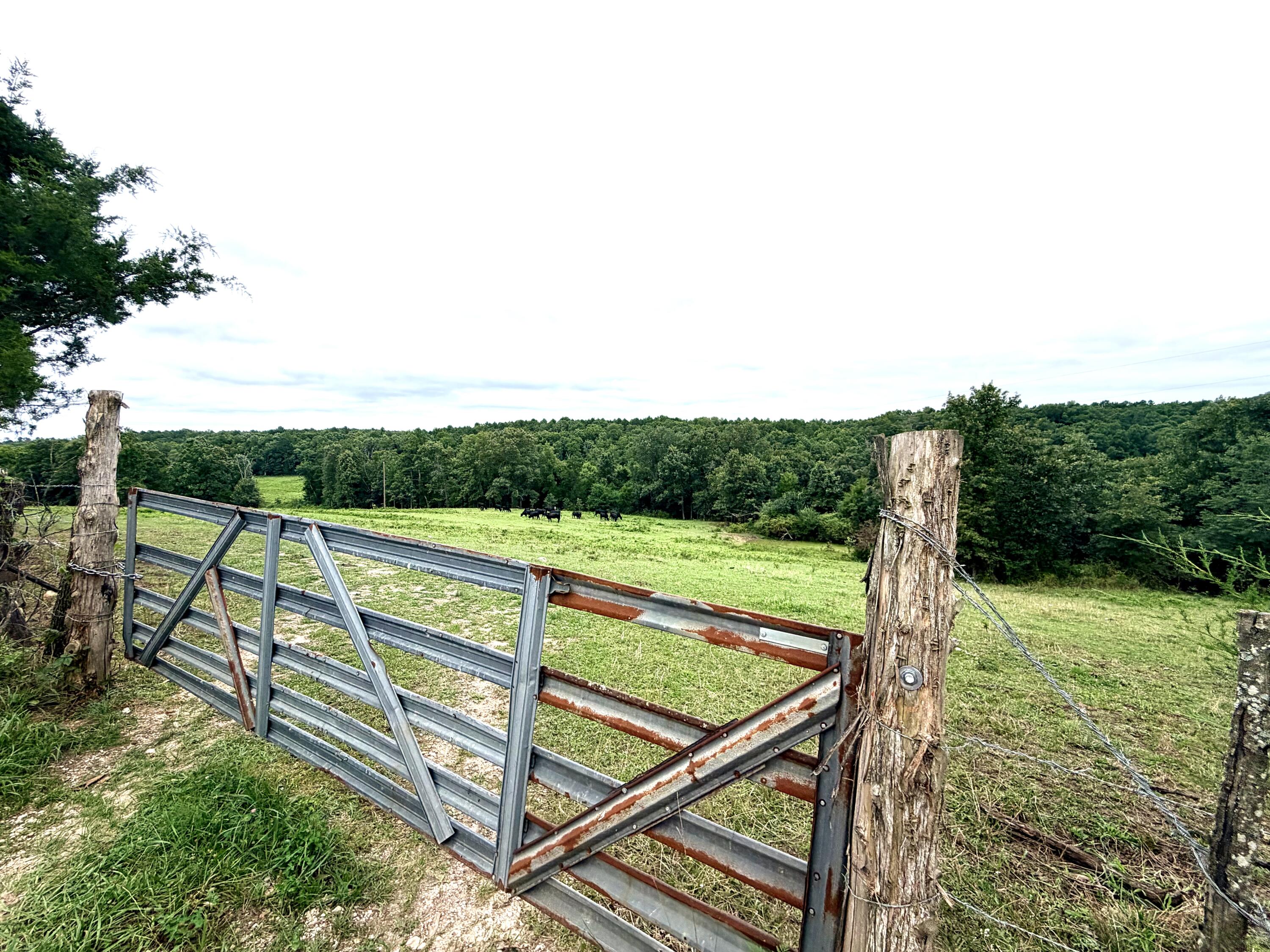 Photo 7 - Land for sale – 000  County Road 585   Winona, MO