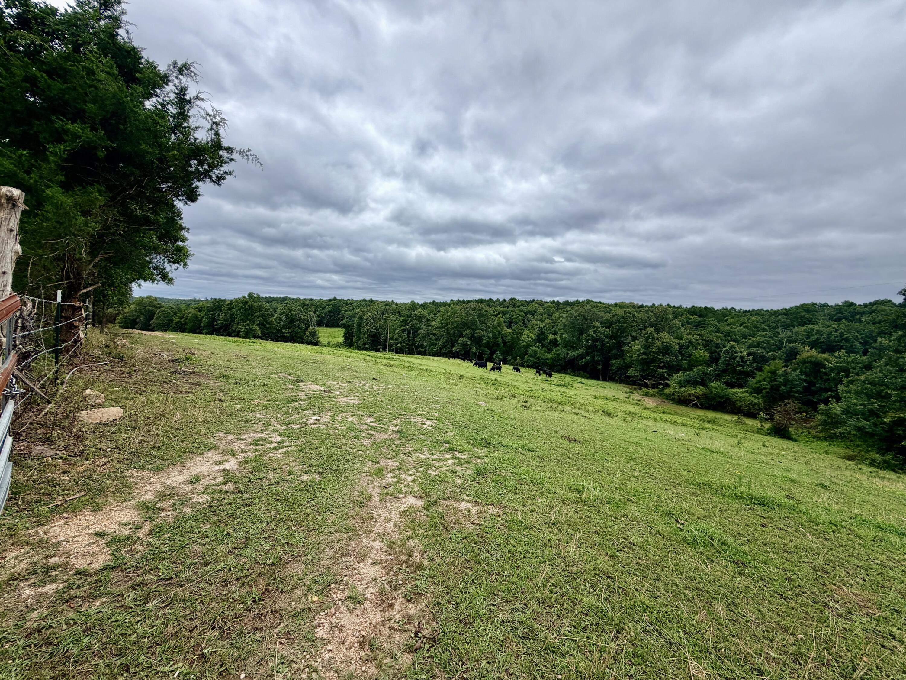 Photo 3 - Land for sale – 000  County Road 585   Winona, MO