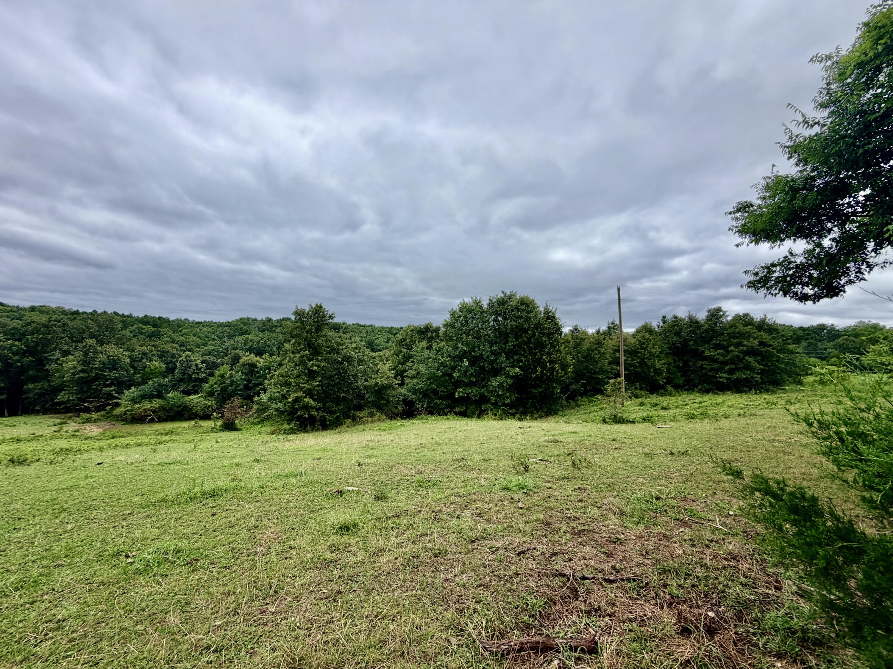 Photo 5 - Land for sale – 000  County Road 585   Winona, MO