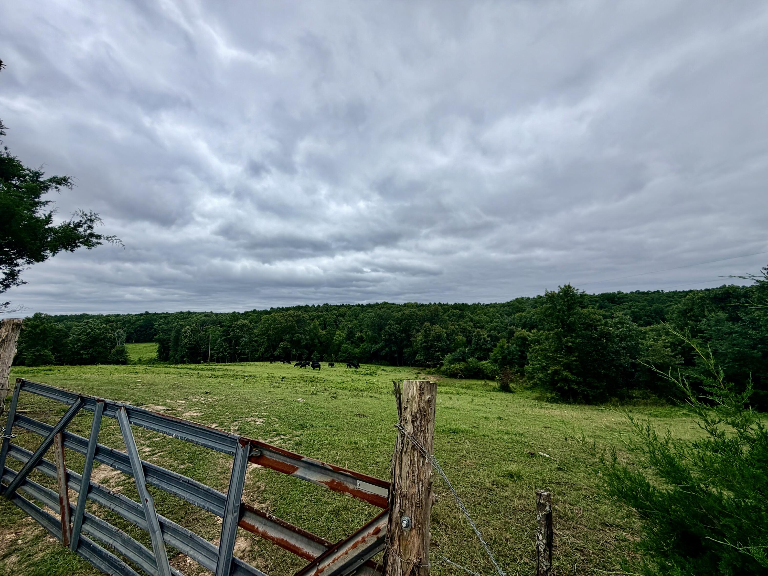 Photo 6 - Land for sale – 000  County Road 585   Winona, MO