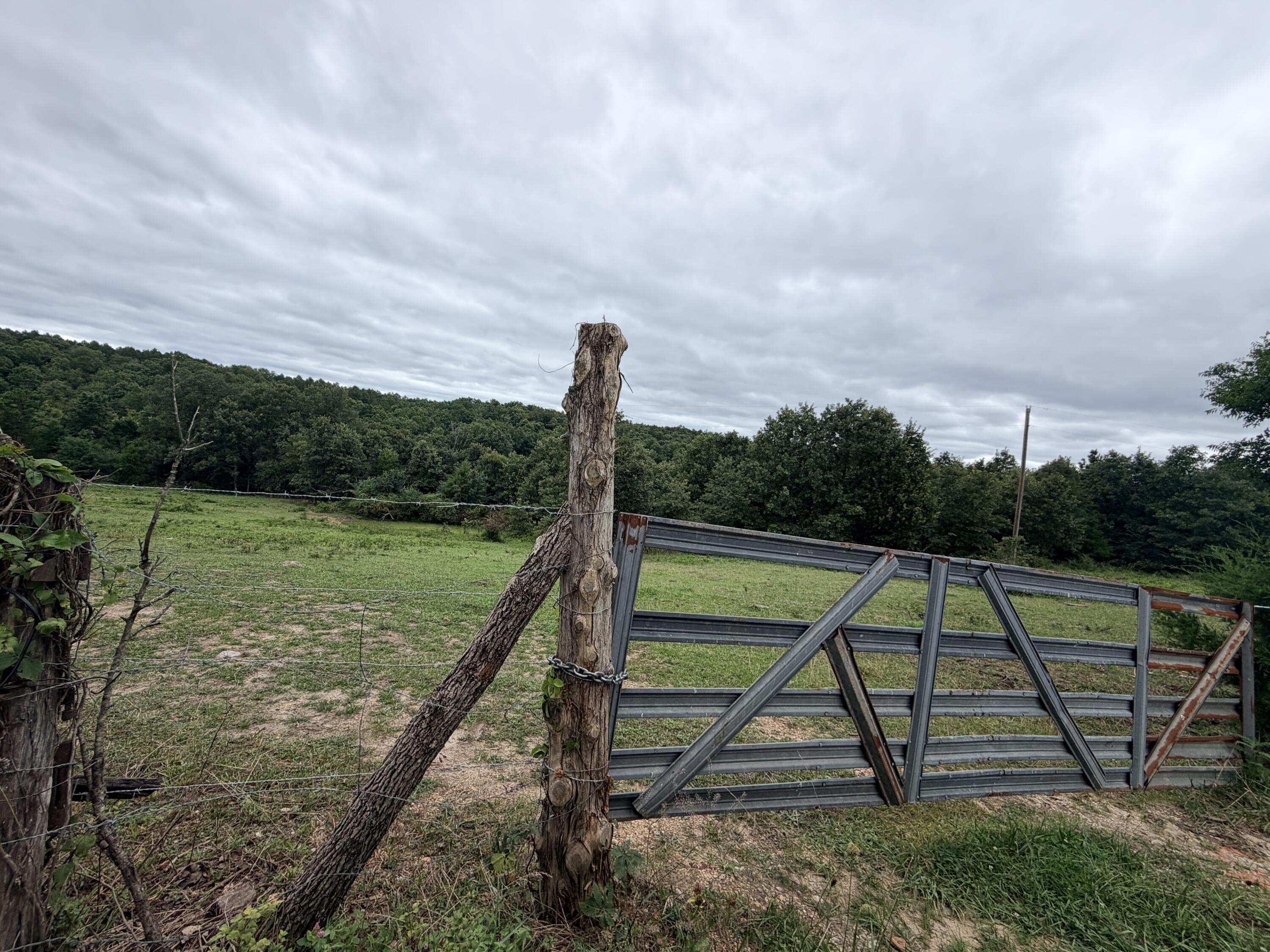 Photo 10 - Land for sale – 000  County Road 585   Winona, MO