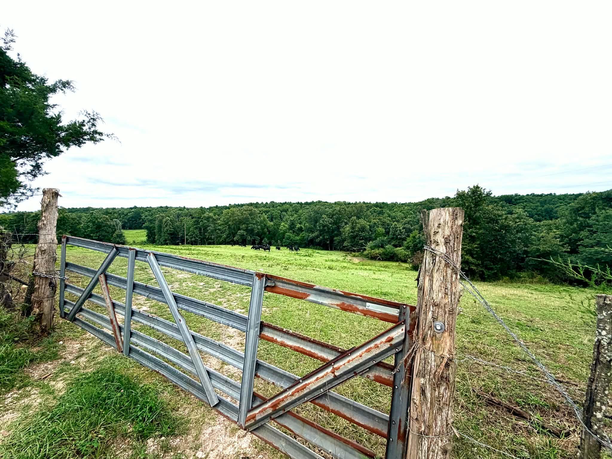 Land for sale – 000 County Road 585 Winona, MO