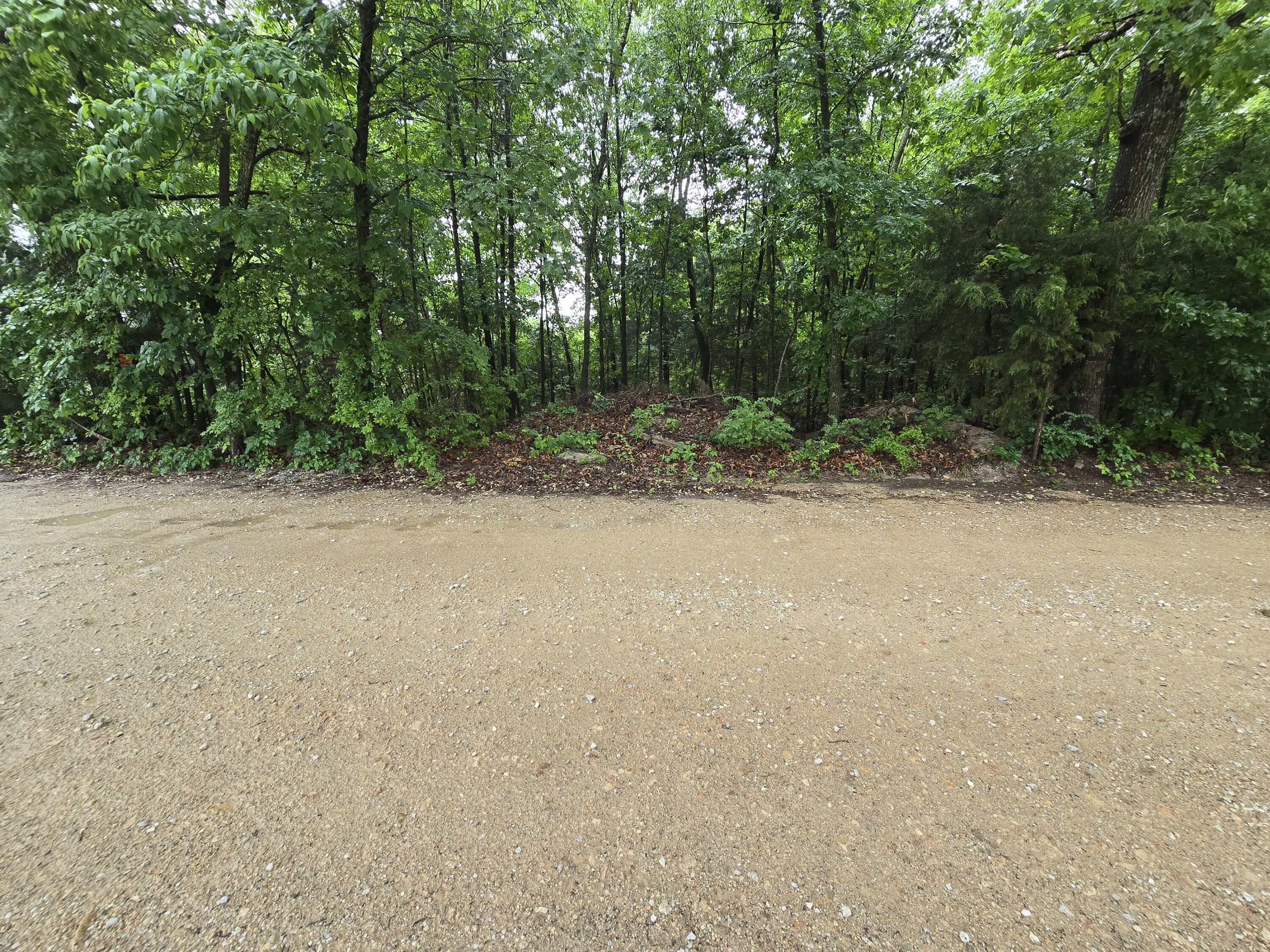 Photo 13 - Land for sale – 16882  Old Cricket Road  Omaha, AR