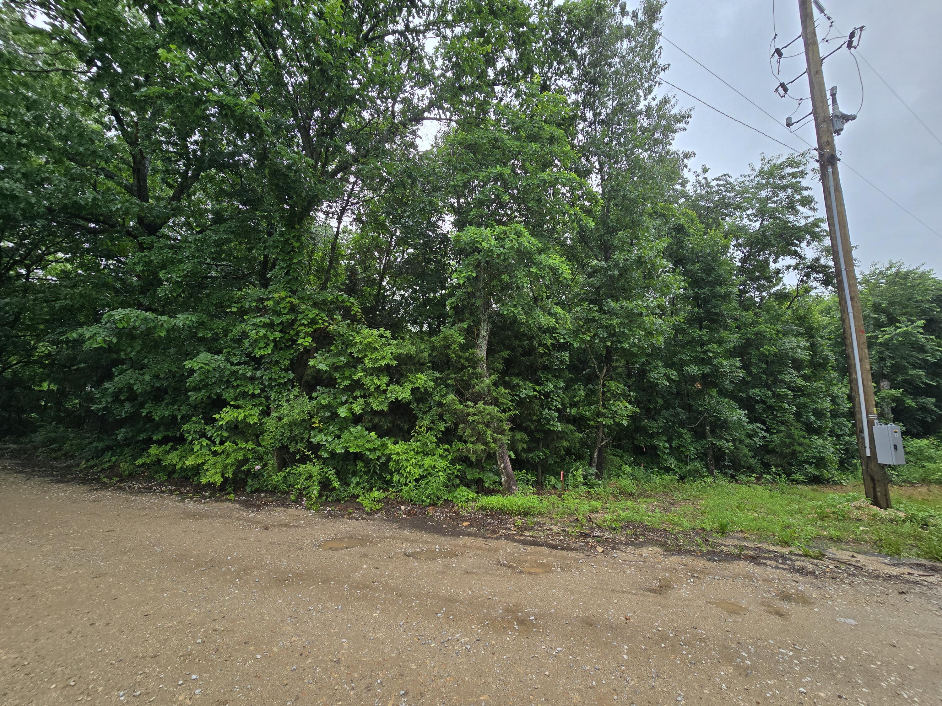 Photo 10 - Land for sale – 16882  Old Cricket Road  Omaha, AR