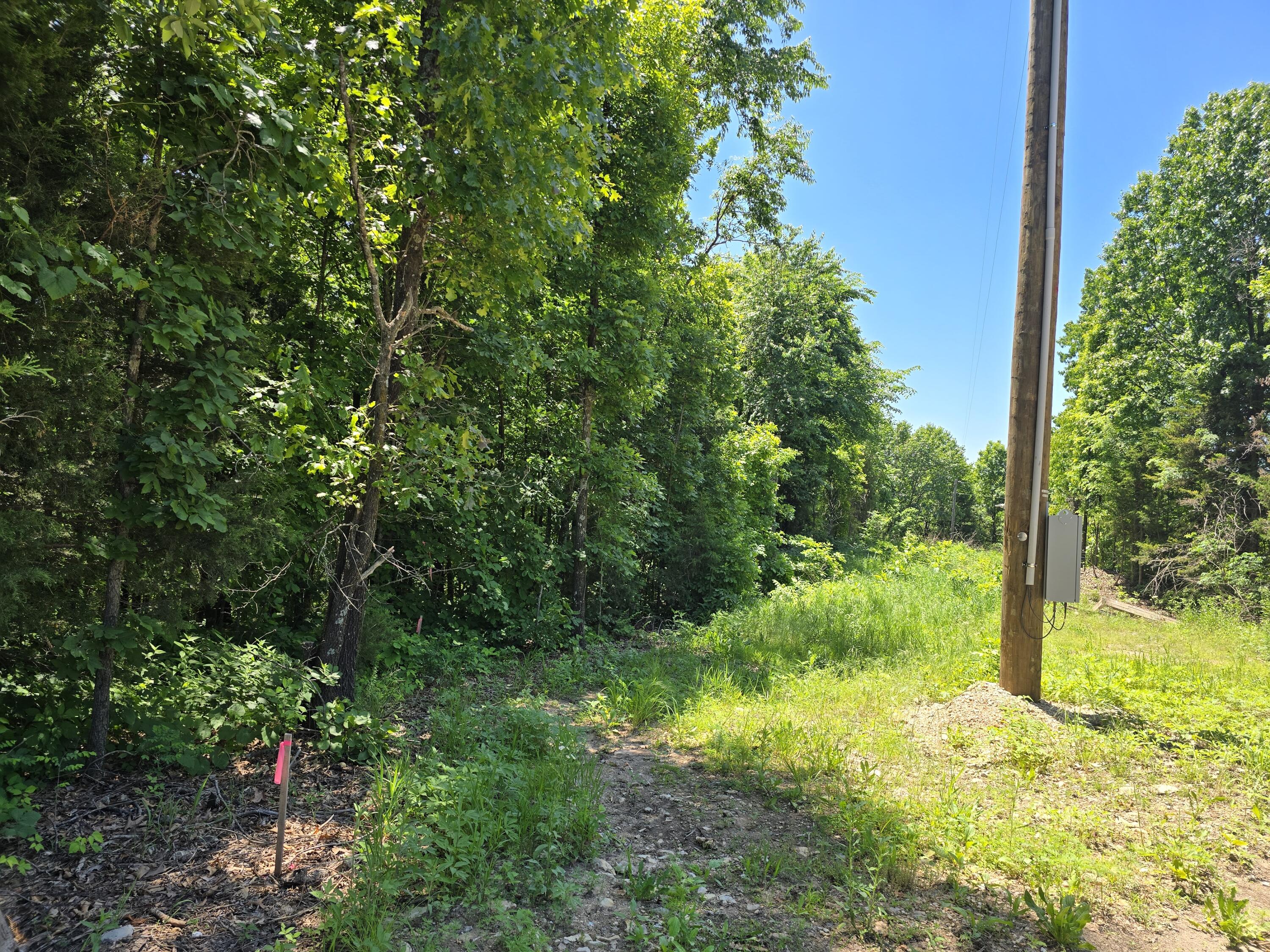 Photo 8 - Land for sale – 16882  Old Cricket Road  Omaha, AR