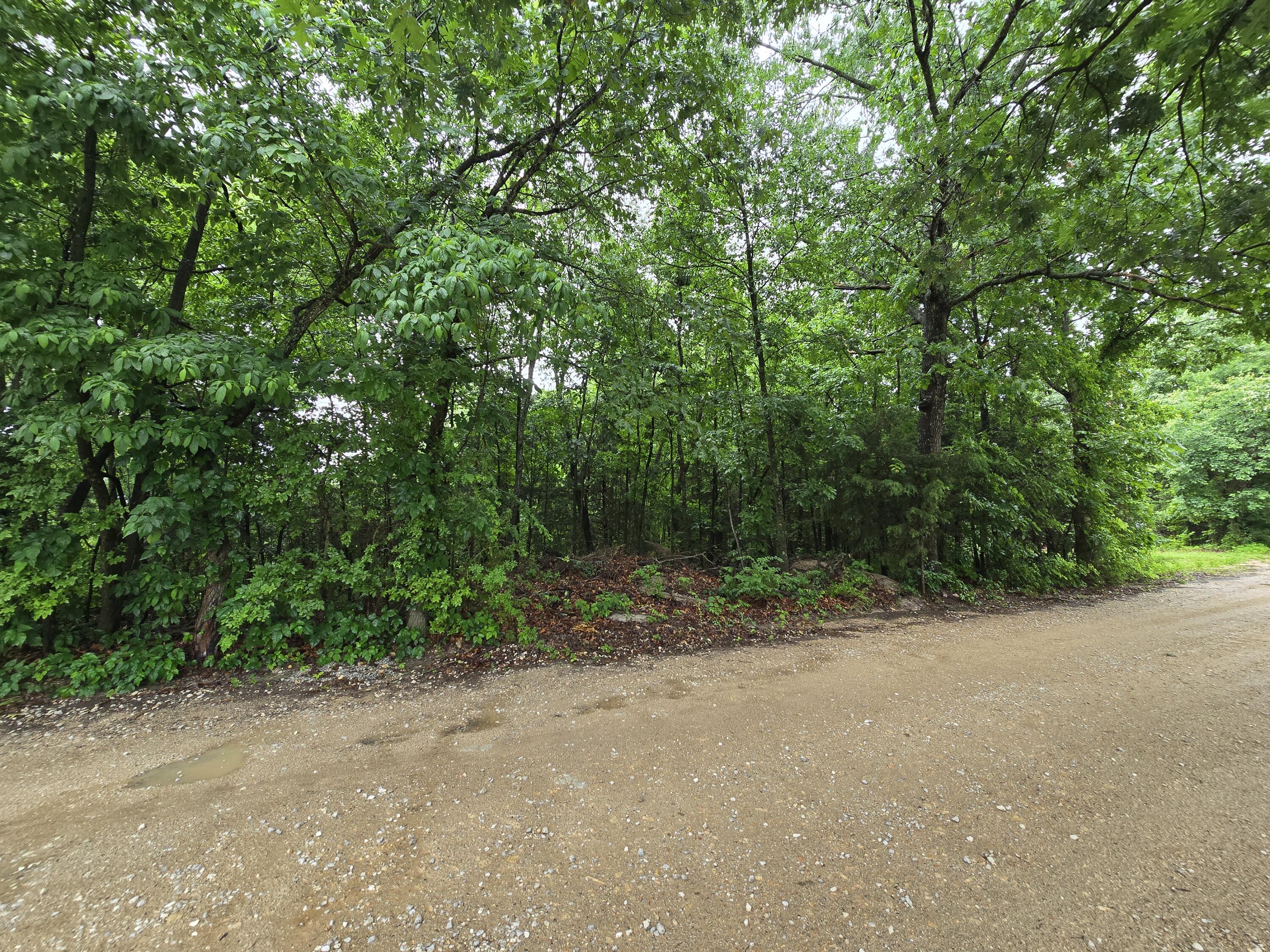 Photo 15 - Land for sale – 16882  Old Cricket Road  Omaha, AR