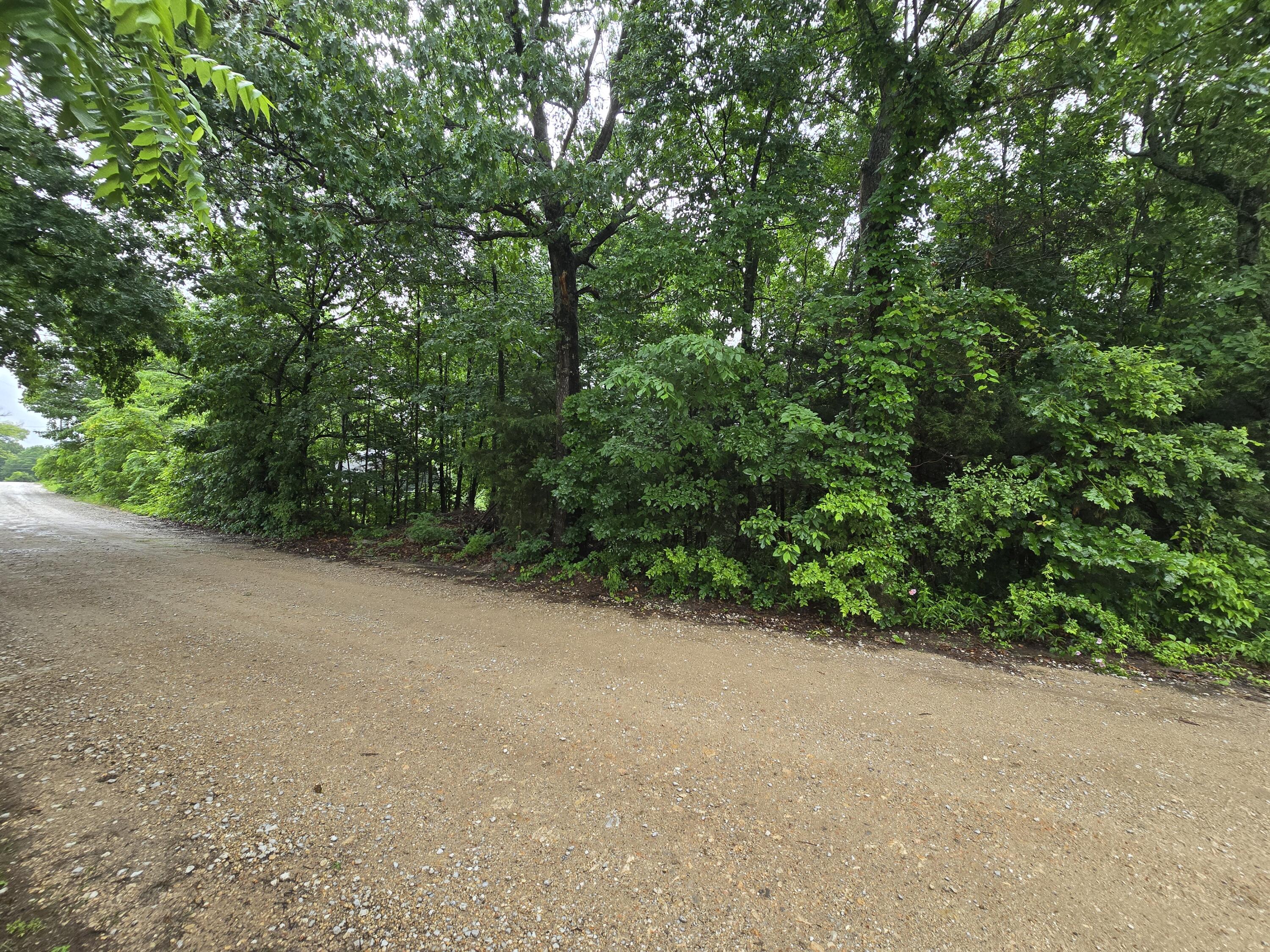 Photo 12 - Land for sale – 16882  Old Cricket Road  Omaha, AR