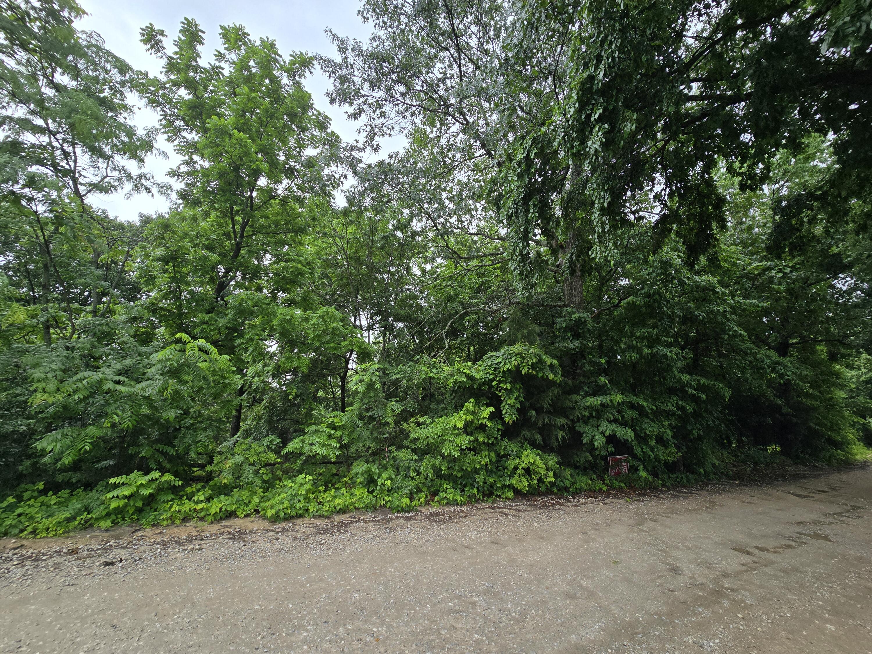 Photo 9 - Land for sale – 16882  Old Cricket Road  Omaha, AR
