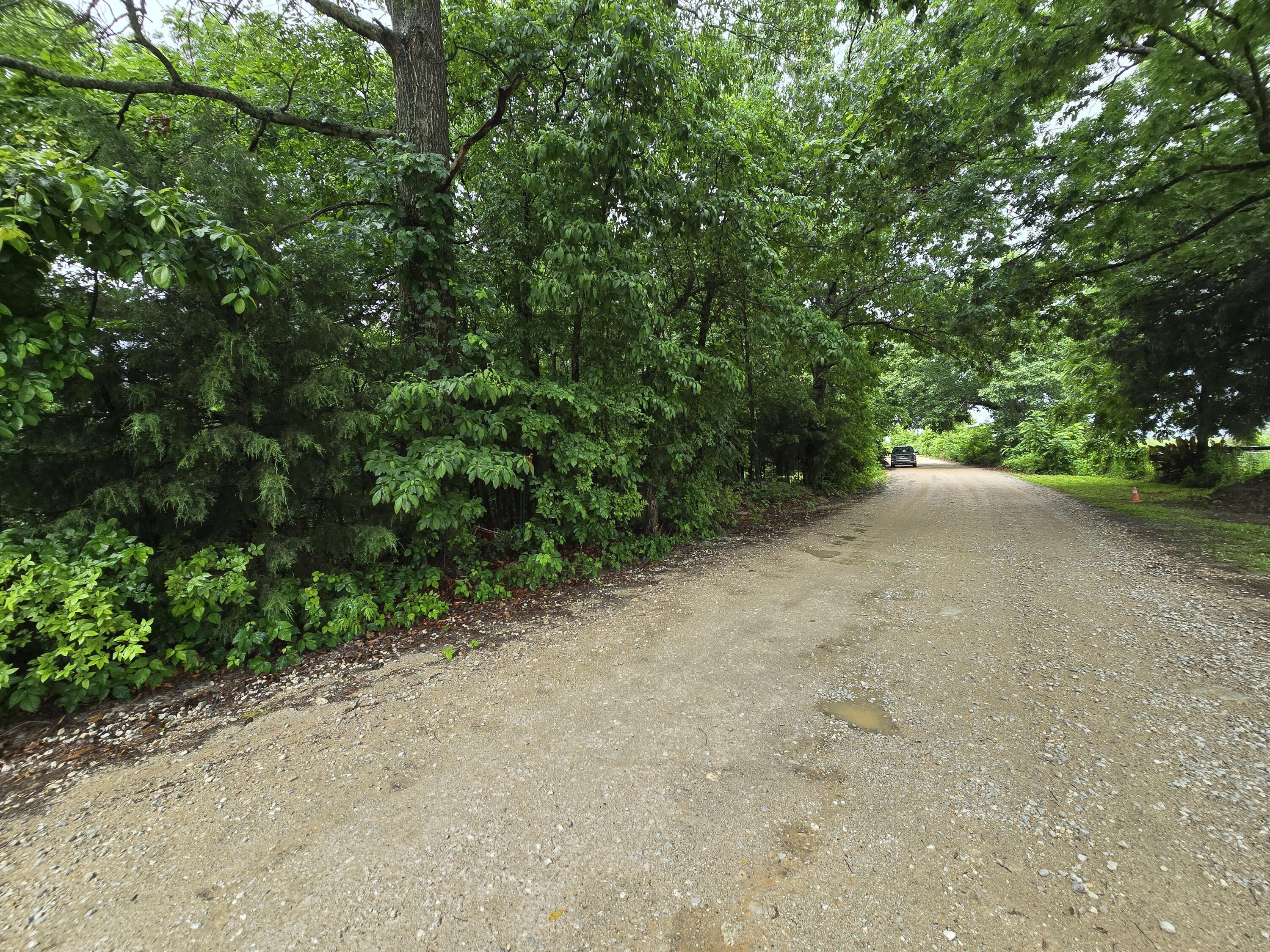 Photo 5 - Land for sale – 16882  Old Cricket Road  Omaha, AR