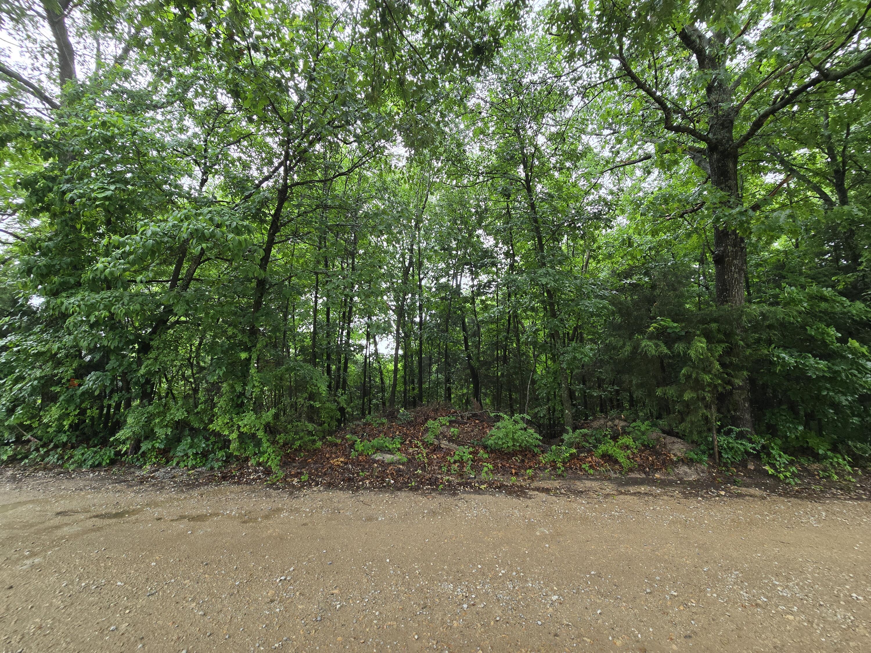 Photo 14 - Land for sale – 16882  Old Cricket Road  Omaha, AR