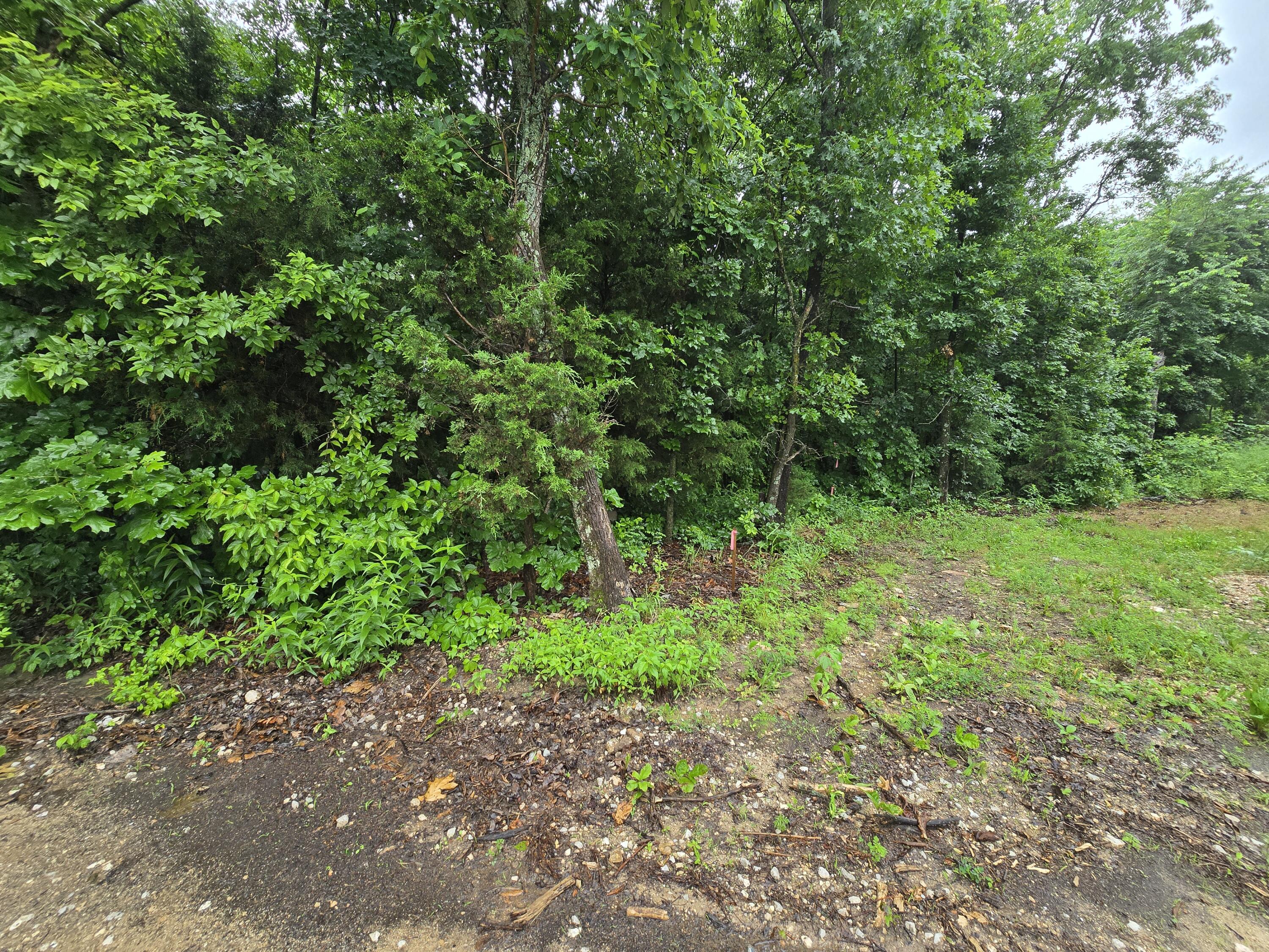 Photo 7 - Land for sale – 16882  Old Cricket Road  Omaha, AR