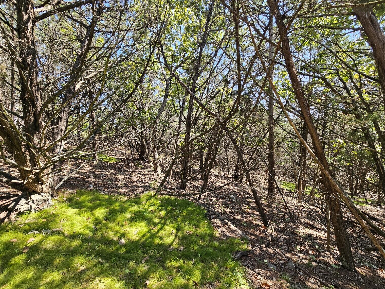 Photo 25 - Land for sale – 000  Pioneer Point Road  Galena, MO