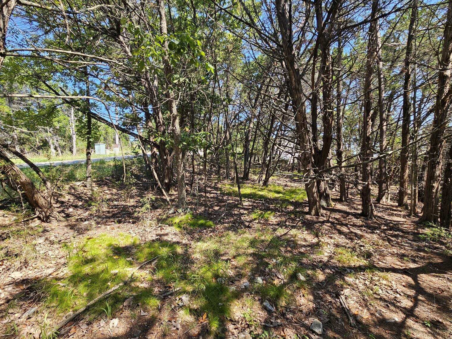Photo 24 - Land for sale – 000  Pioneer Point Road  Galena, MO