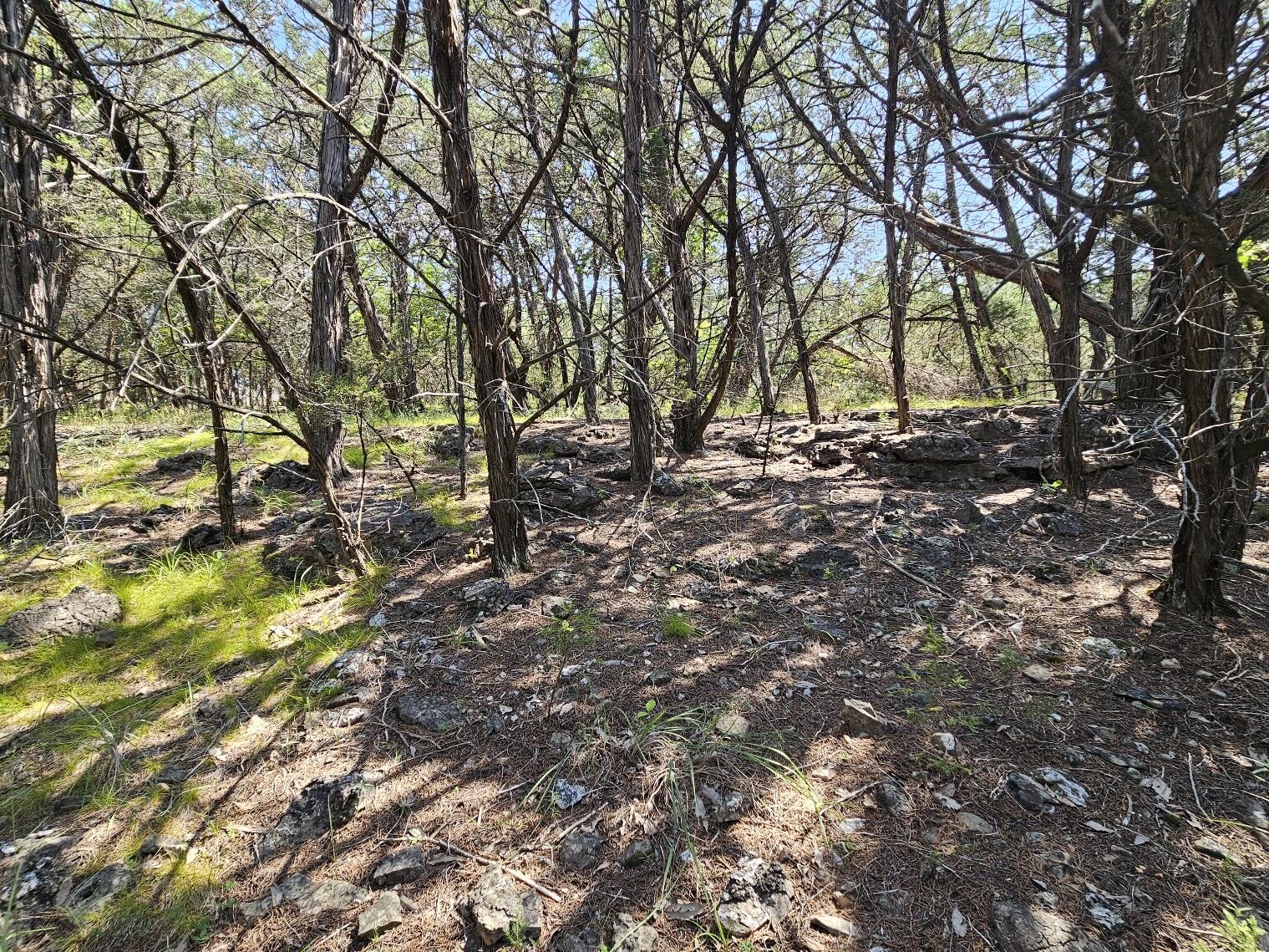 Photo 21 - Land for sale – 000  Pioneer Point Road  Galena, MO