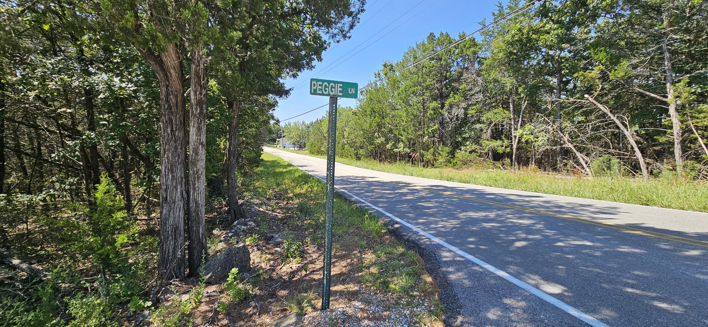 Photo 6 - Land for sale – 000  Pioneer Point Road  Galena, MO