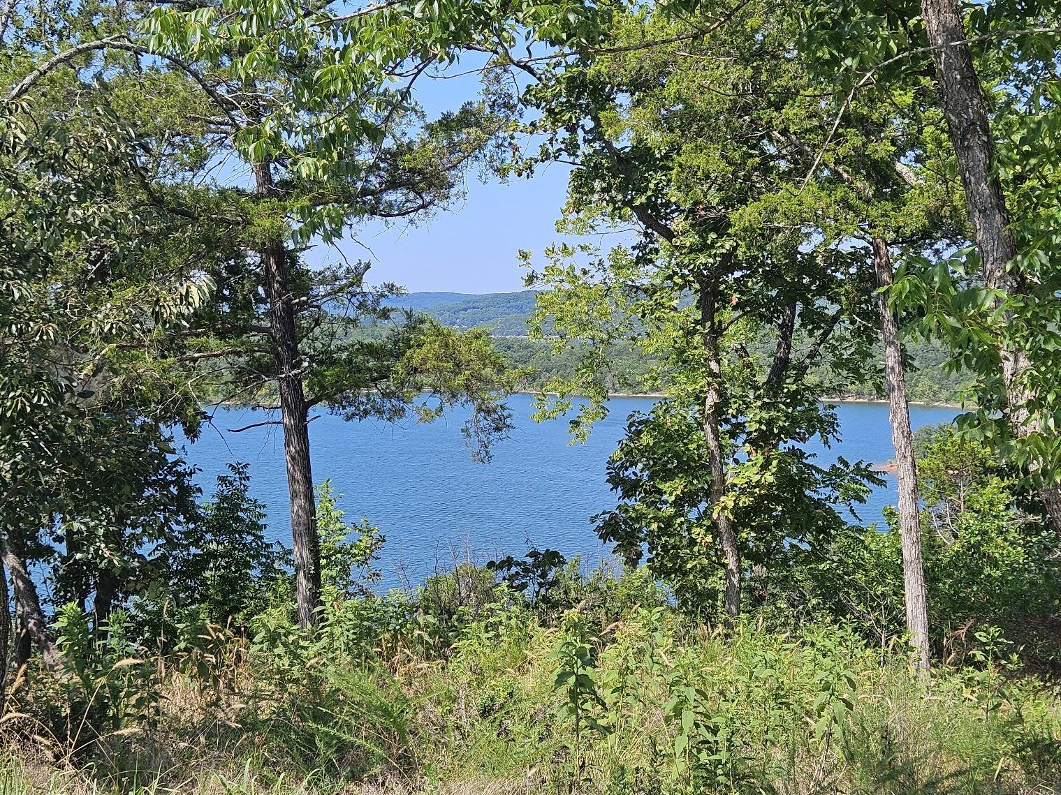 Photo 5 - Land for sale – 000  Pioneer Point Road  Galena, MO