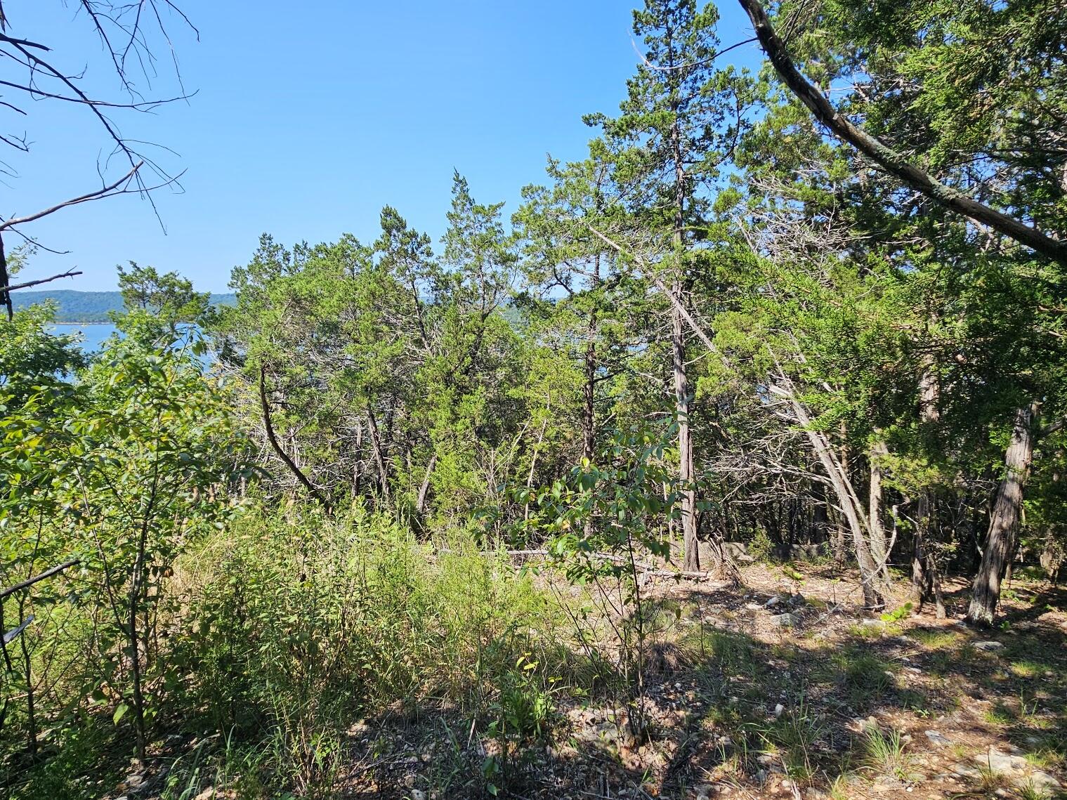 Photo 7 - Land for sale – 000  Pioneer Point Road  Galena, MO