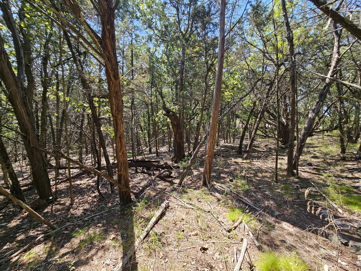 Photo 23 - Land for sale – 000  Pioneer Point Road  Galena, MO