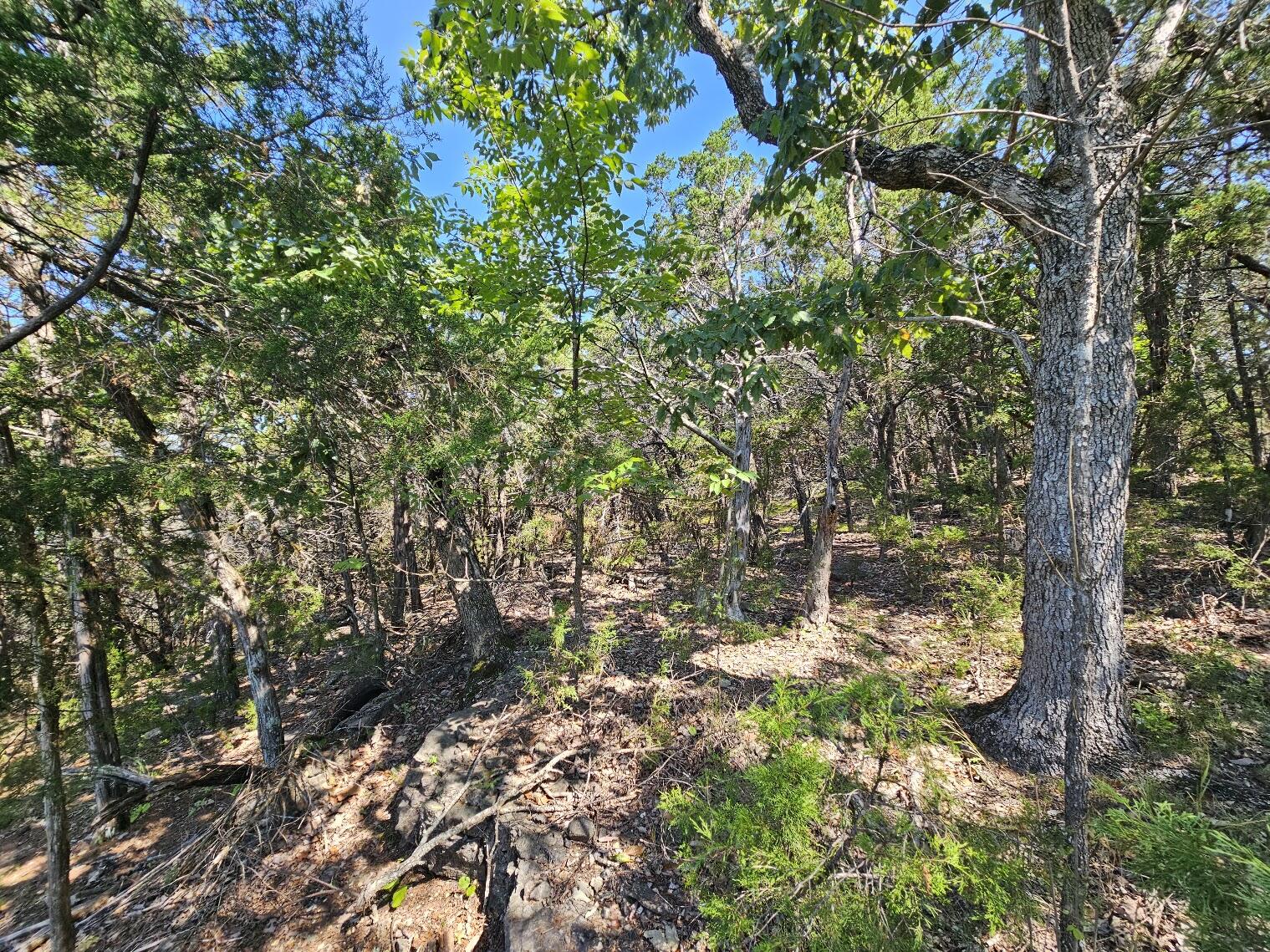 Photo 22 - Land for sale – 000  Pioneer Point Road  Galena, MO