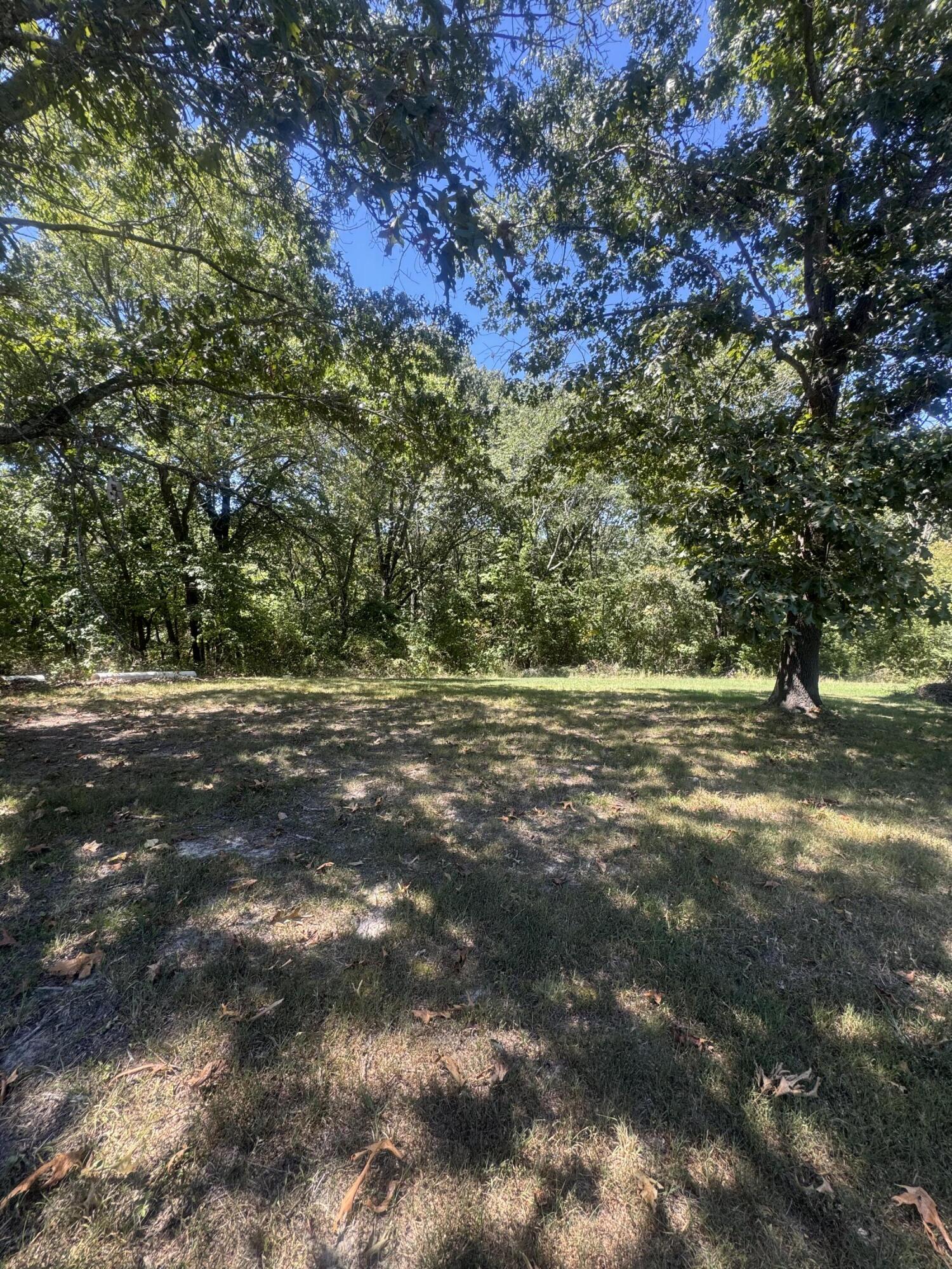 Photo 2 - Land for sale – 000  Rt 248   Galena, MO